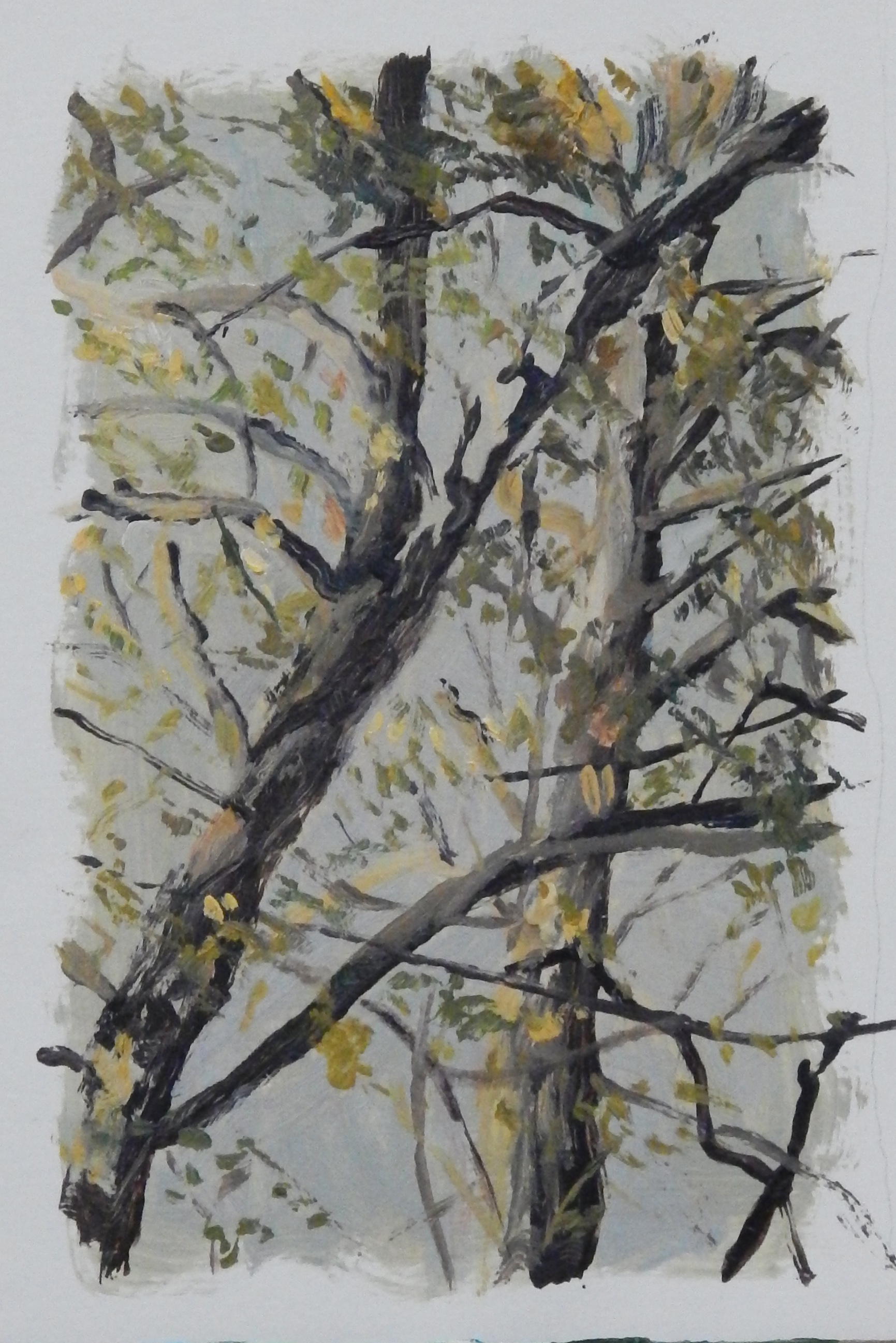 óleo sobre papel - 15x17 cm