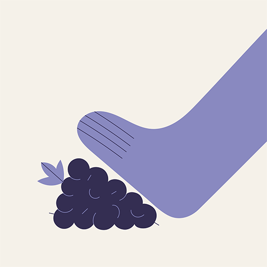 created for Damp Wine / illustration by Justin Cassano