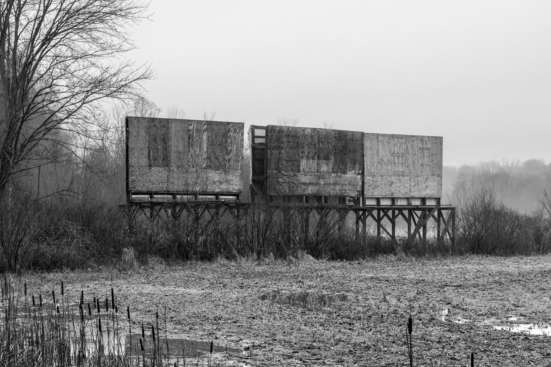 The Subject Matters | Group Show 21st January - 17th April 2025