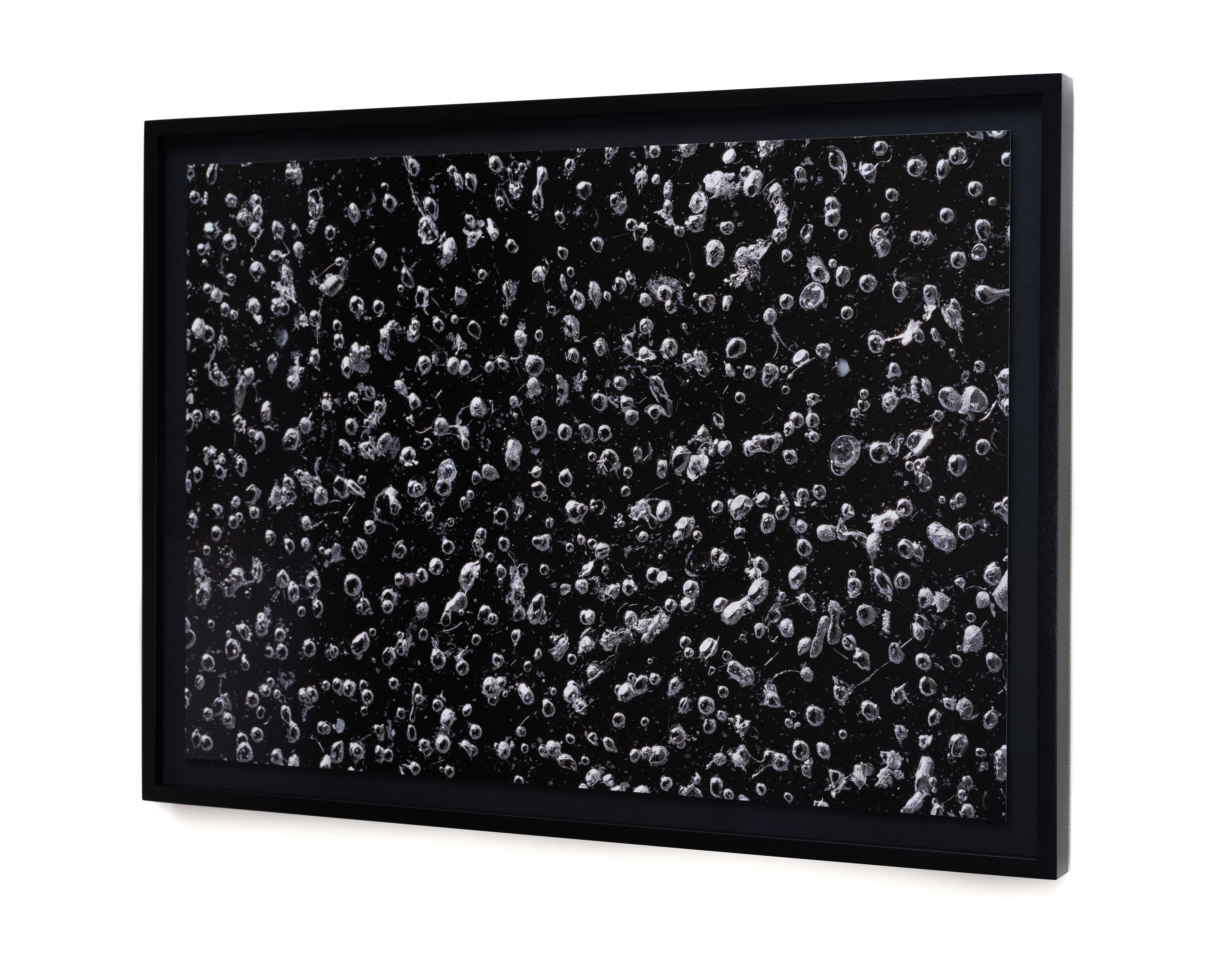 Available: 2/5 - 5/5. Title: Antarctica 1.1