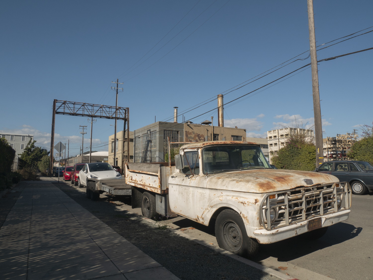 Camelia Street, Berkeley