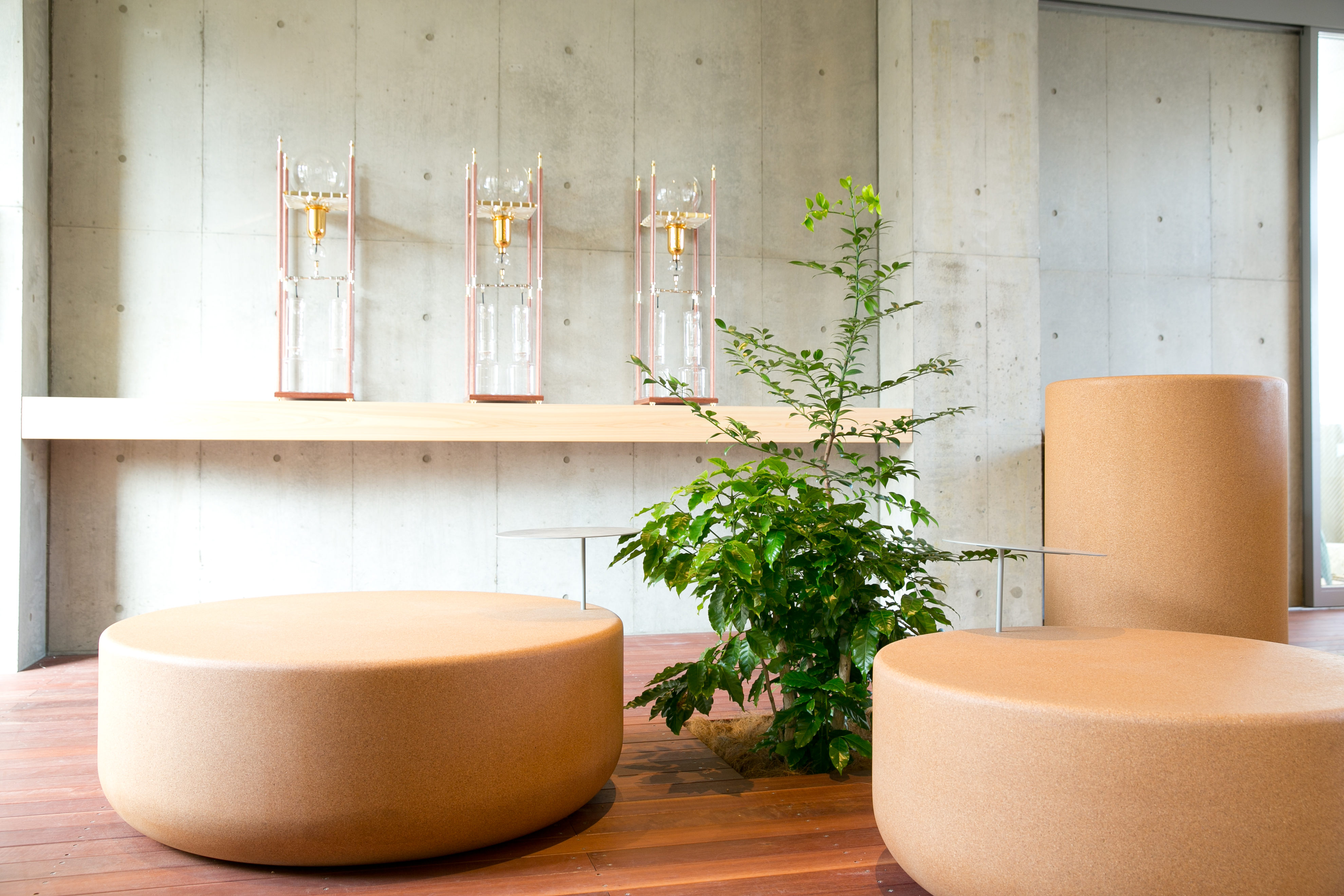 Aoyama Branch