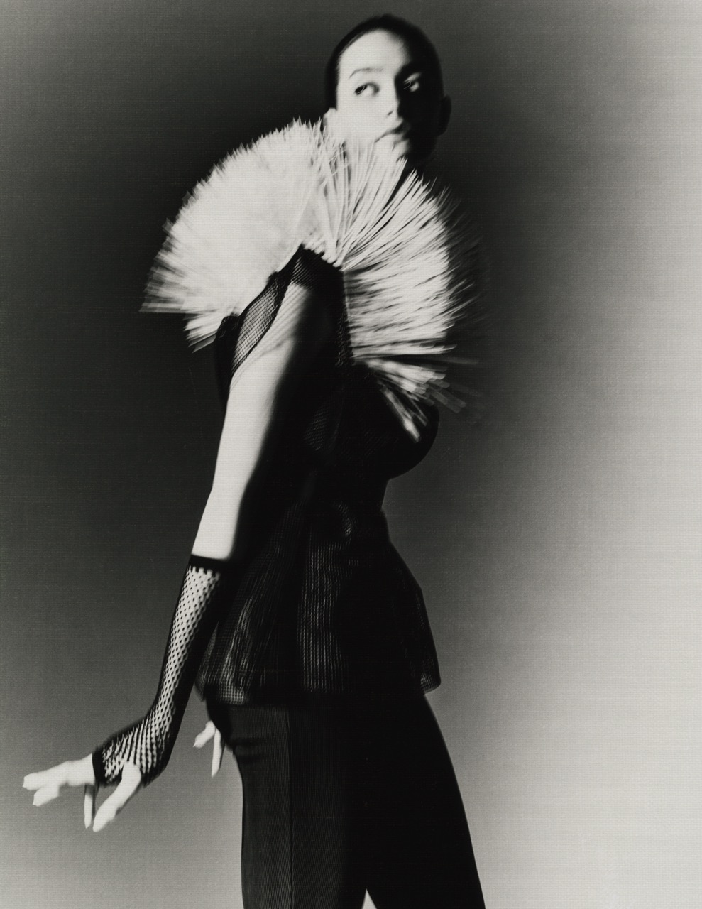 Dandelion - Schön! Magazine