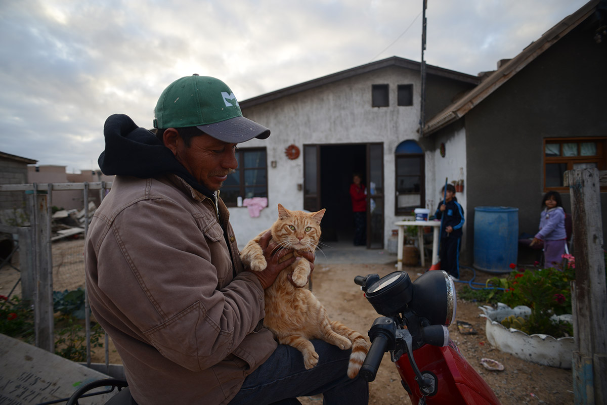 Guerrero Negro, Mexico 2014.