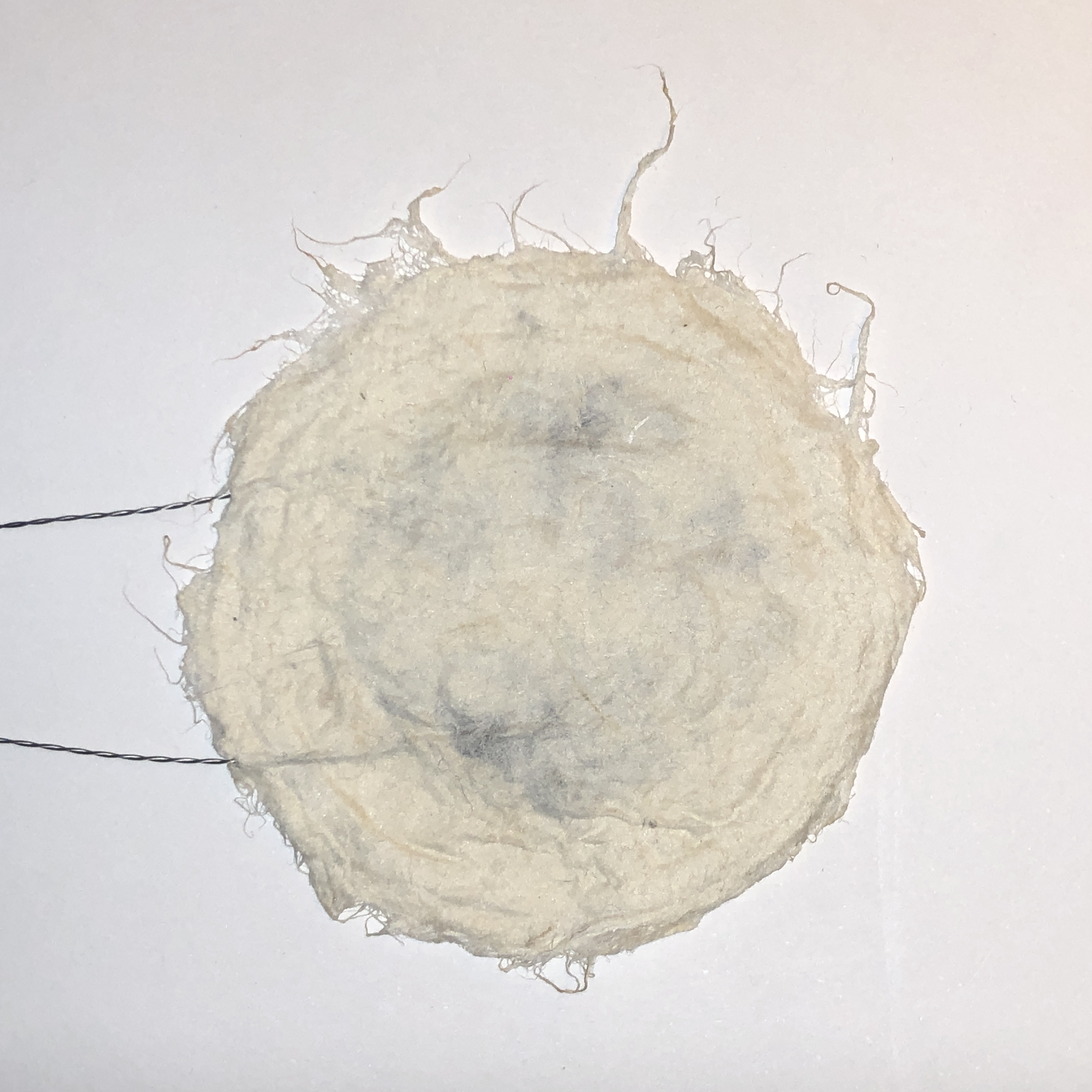 陳翊羽 Yiyu Chen and 施惟捷 Shih Wei Chieh swatch 01