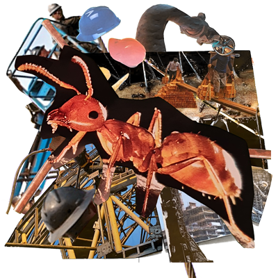 Formwork & The Truth