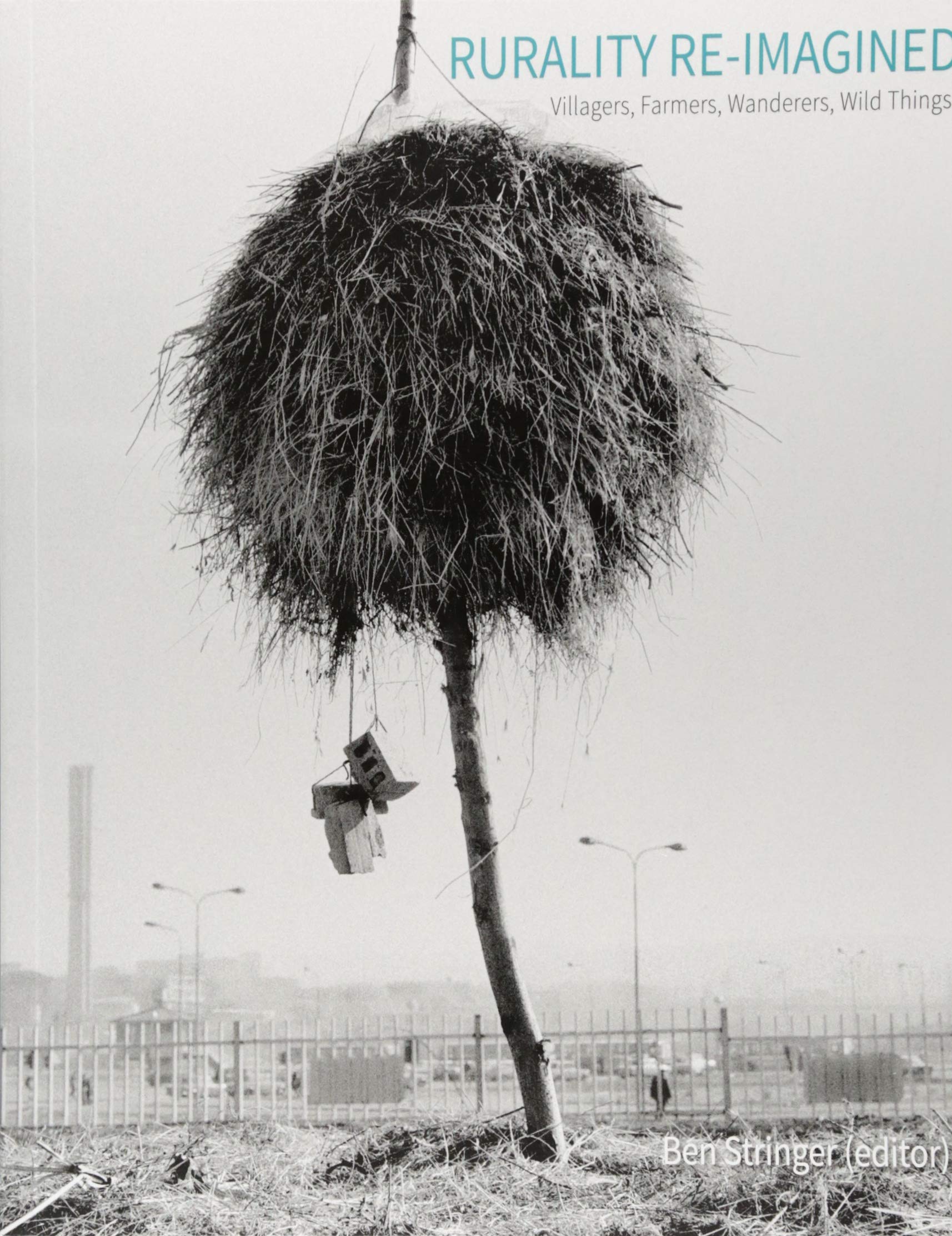 Sigrid Holmwood, ‘Re-imagining Peasant Painting,’ Chapter in Rurality Re-imagined: Villagers, Farmers, Wanderers, and Wild Things , ed. Ben Stringer, ORO Editions,  2018