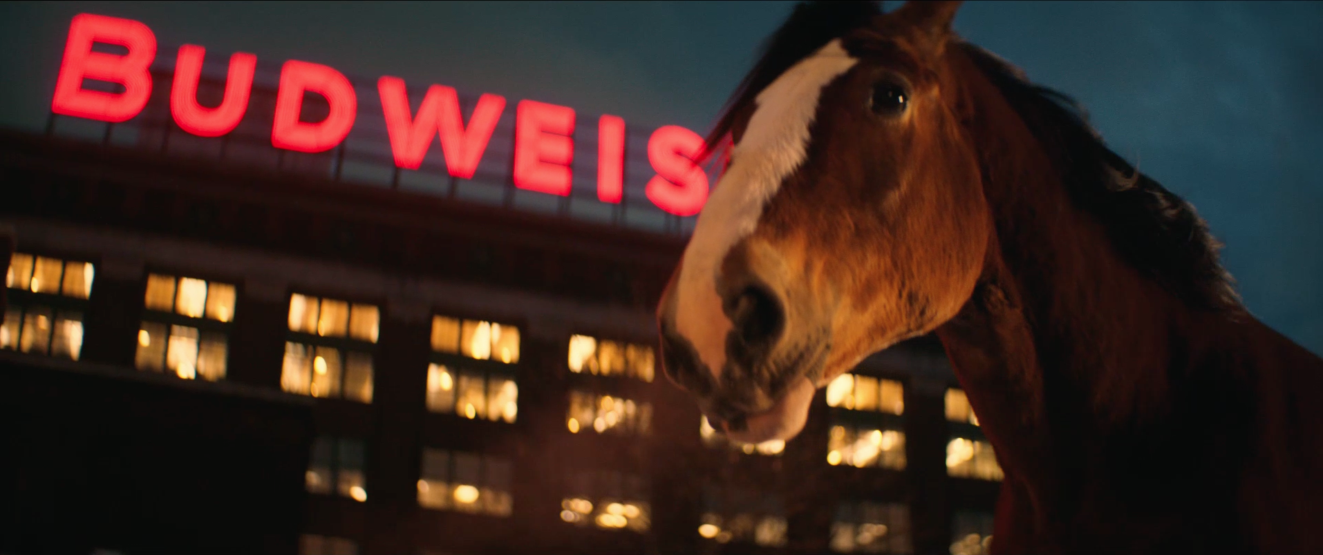 Budweiser - Super Bowl Campaing