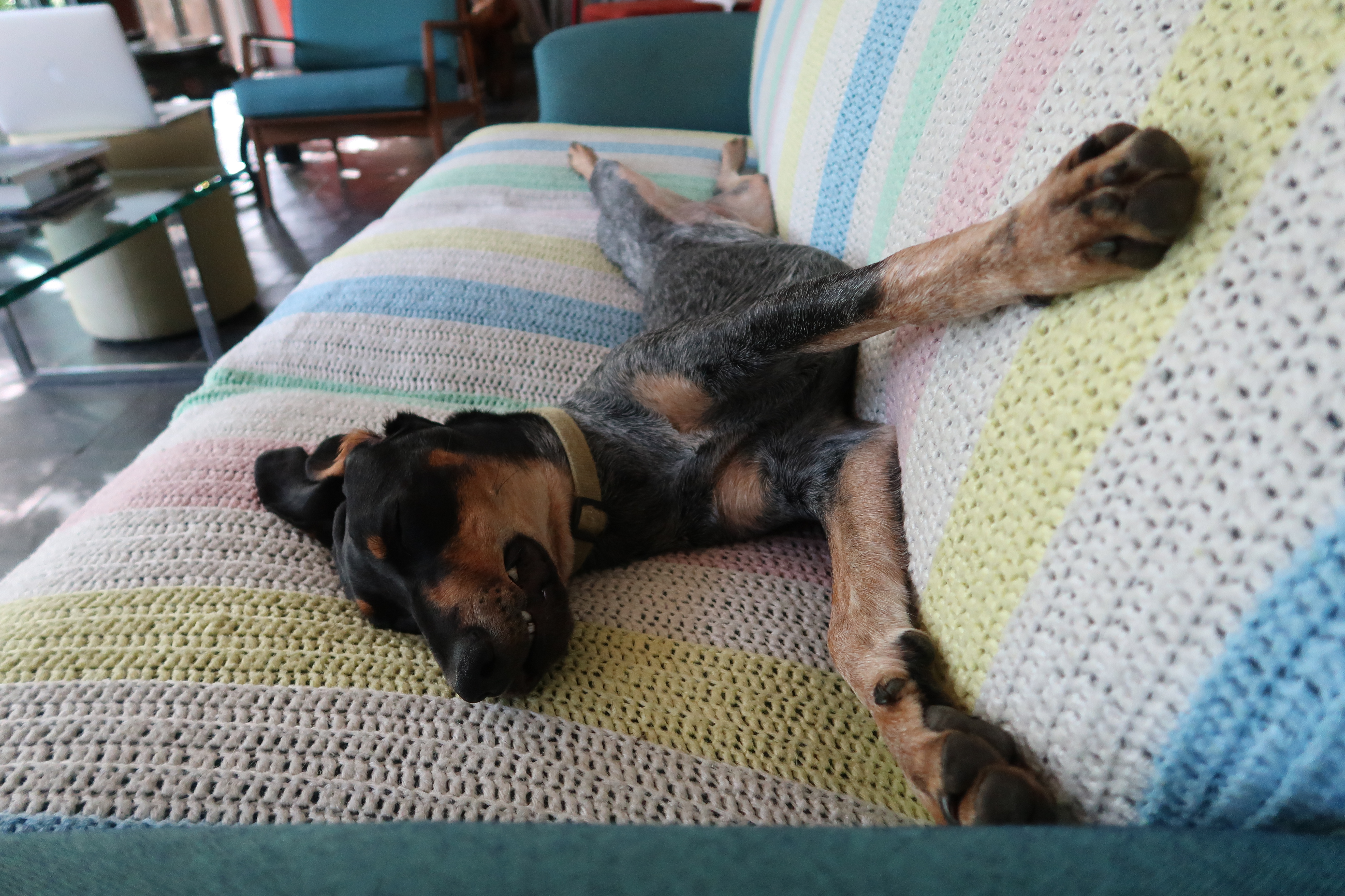 Streeeeetttcchhhy Clem