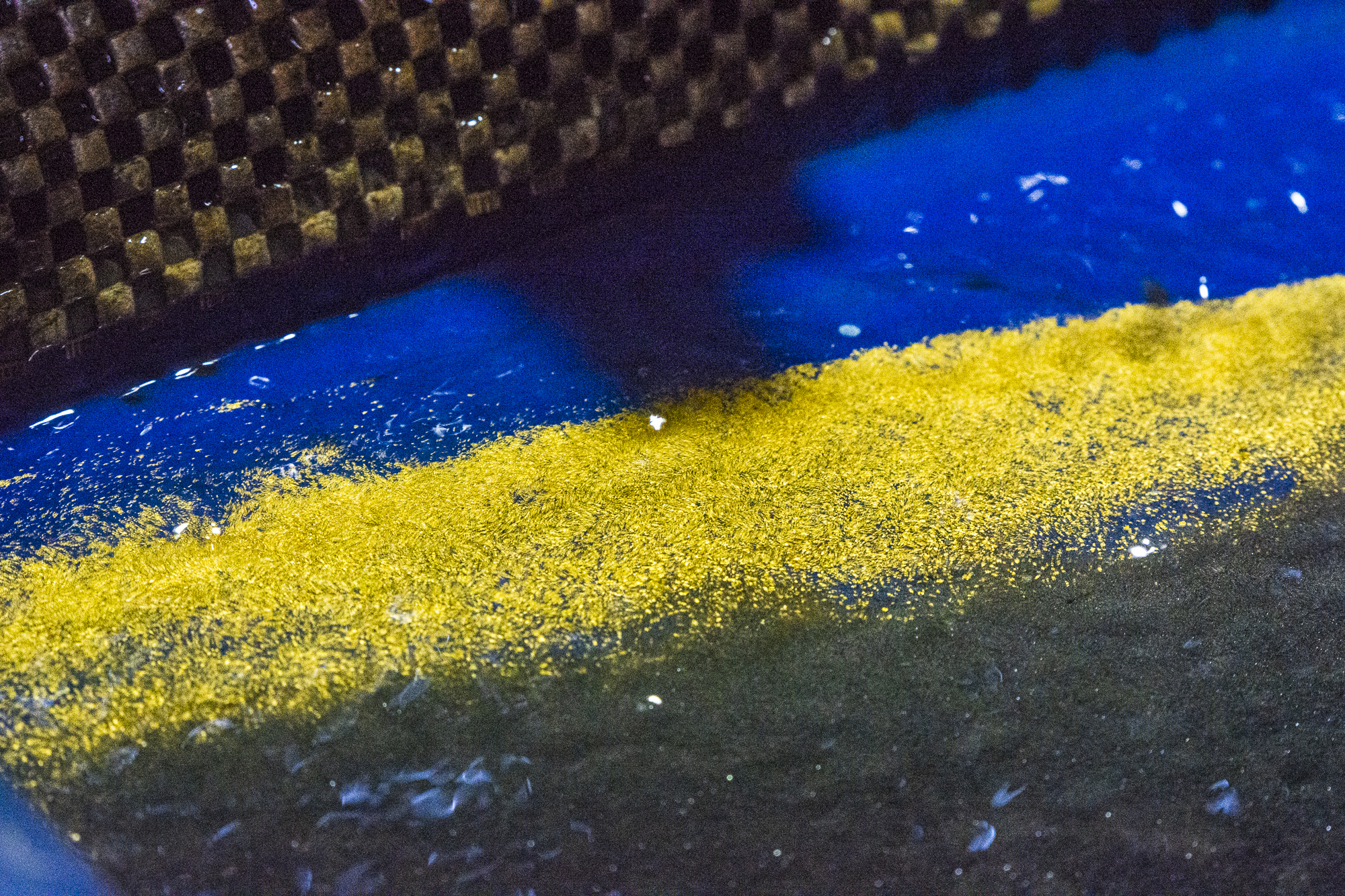 THE GOLD DUST RECOVERY THROUGH THE SHAKING TABLES, 2019