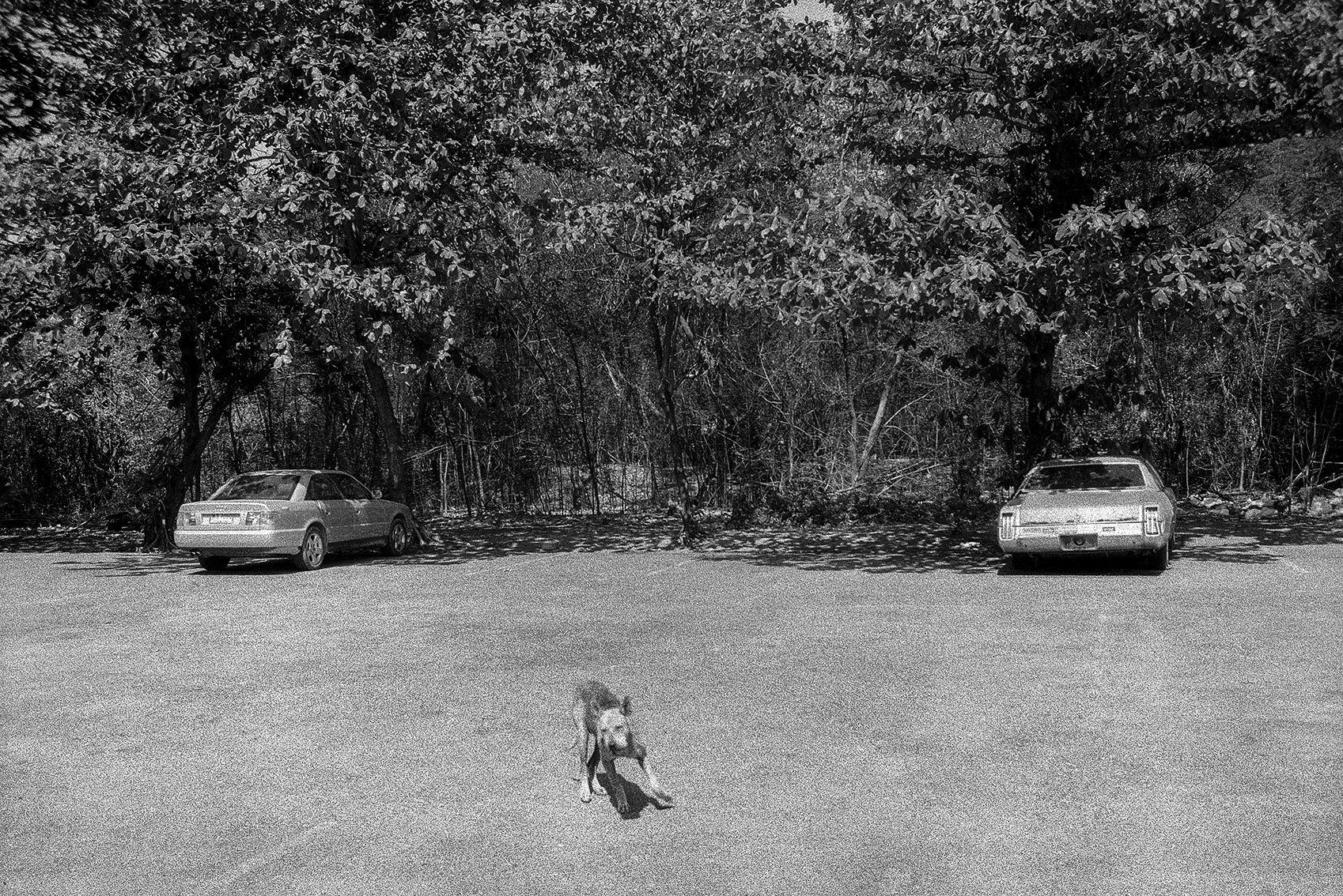 Julien Crégut - Eastern - RDP Lao - 2004/2008 -©juliencregut