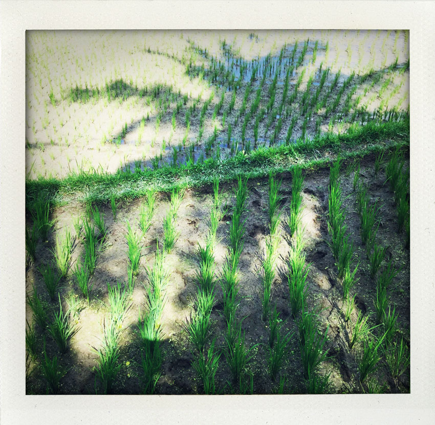 2015/08 Bali Indonesia