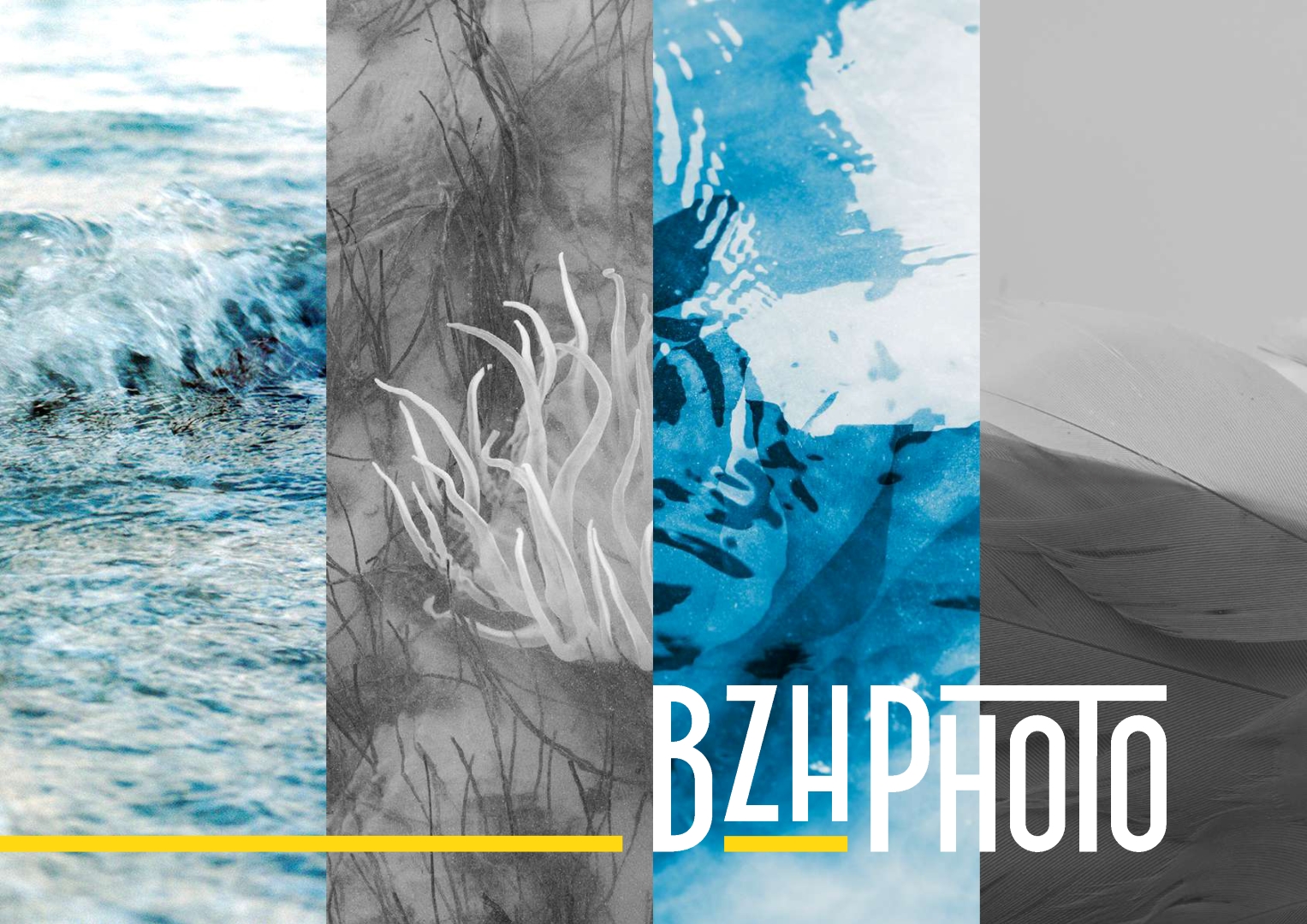 catalogue rétrospective 2023