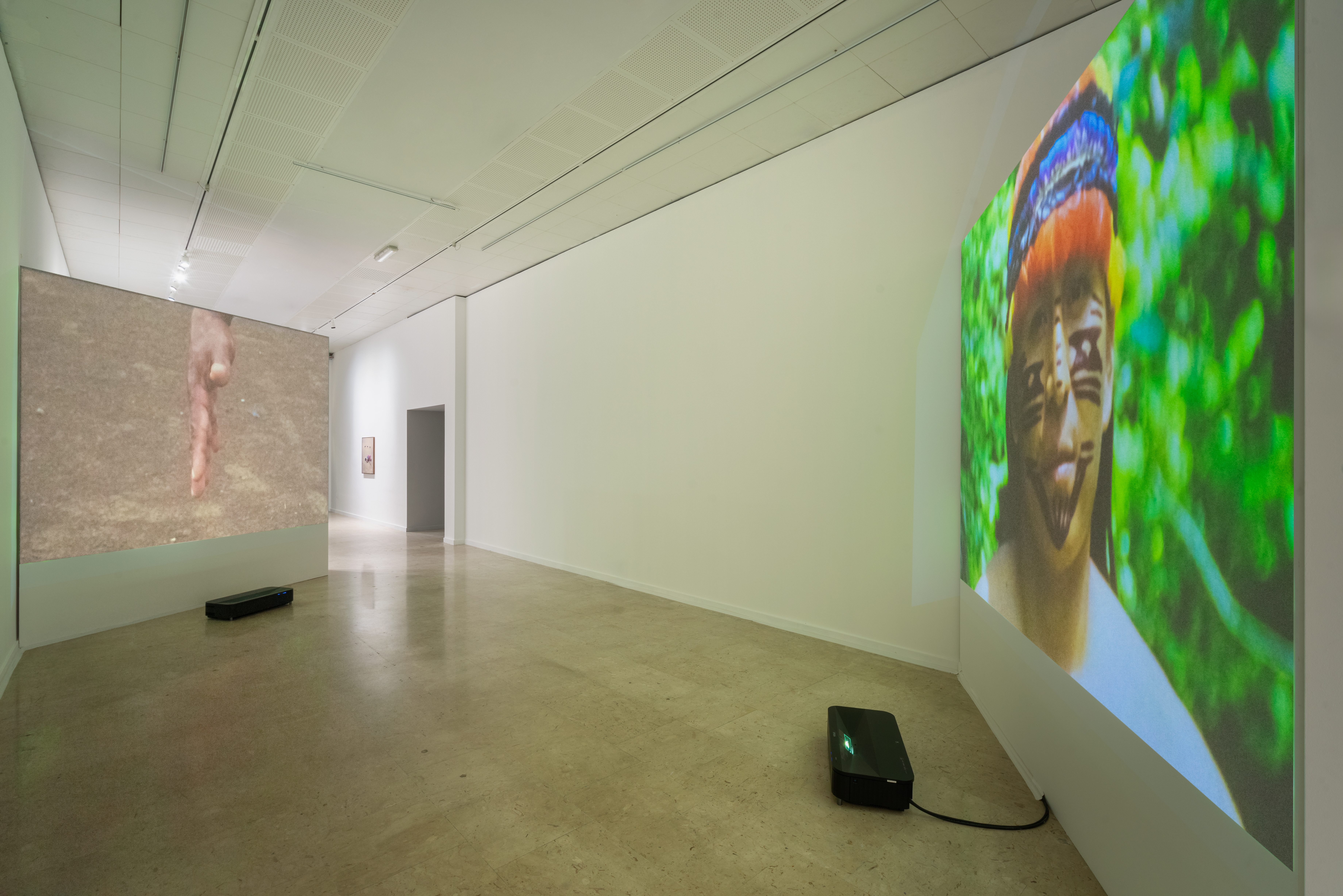 ‘Once Upon a time in the Jungle’ at the EXPOSED Torino Foto Festival 2025. GAM, Torino