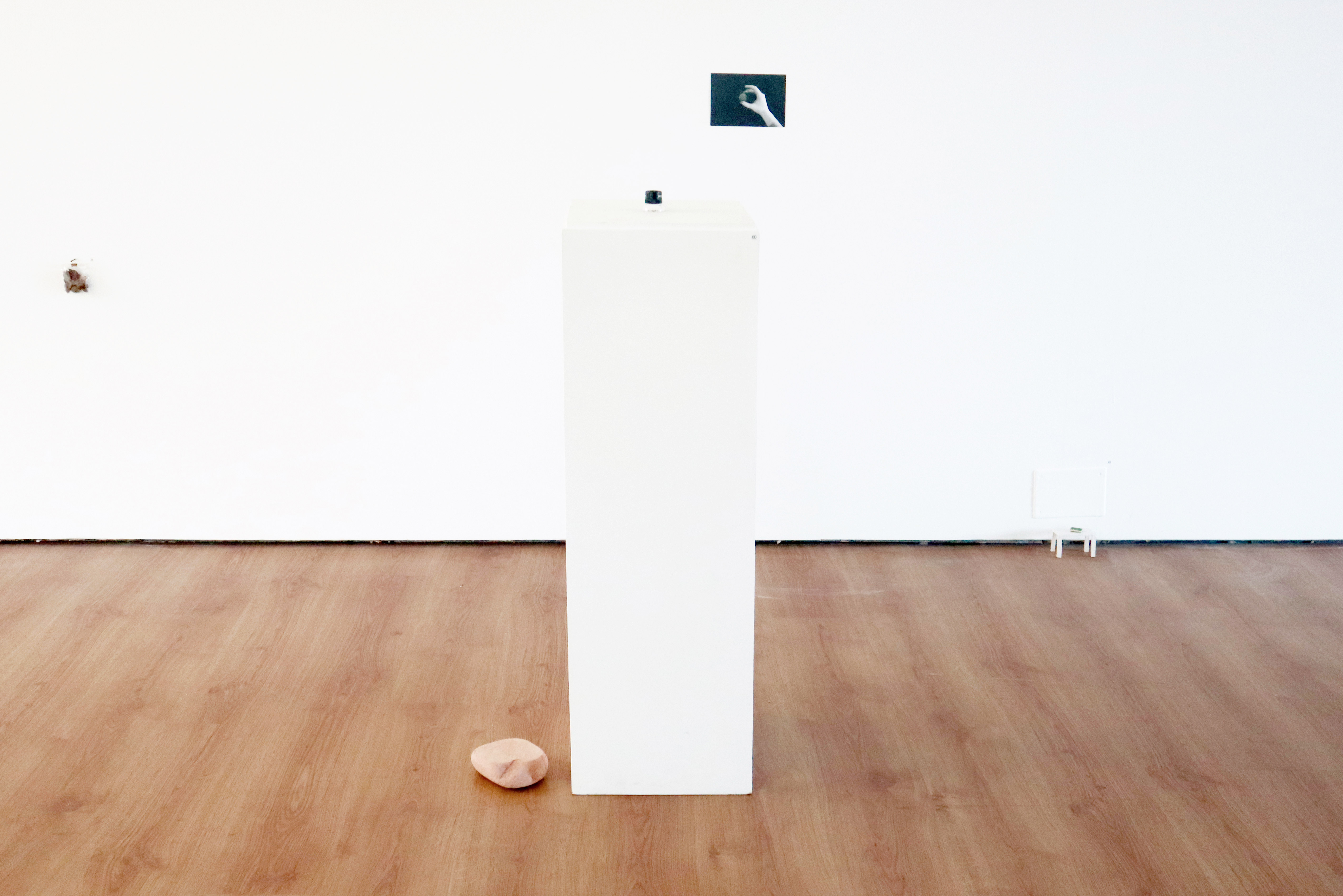 Dennise Vaccarello, Ídem de ídem