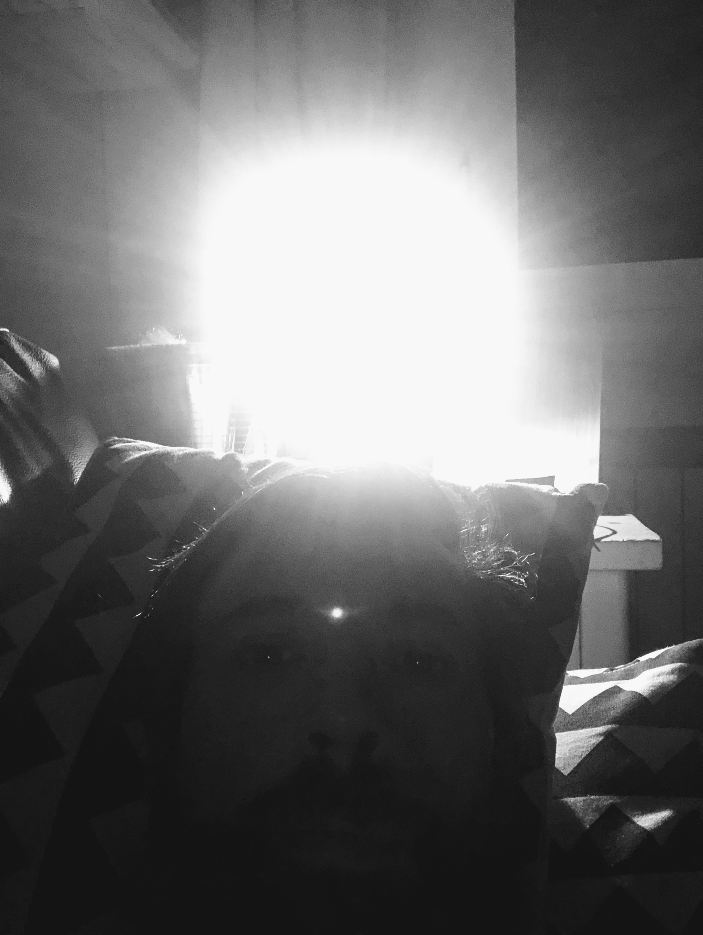 Illuminazione, Bologna, 22-6-19