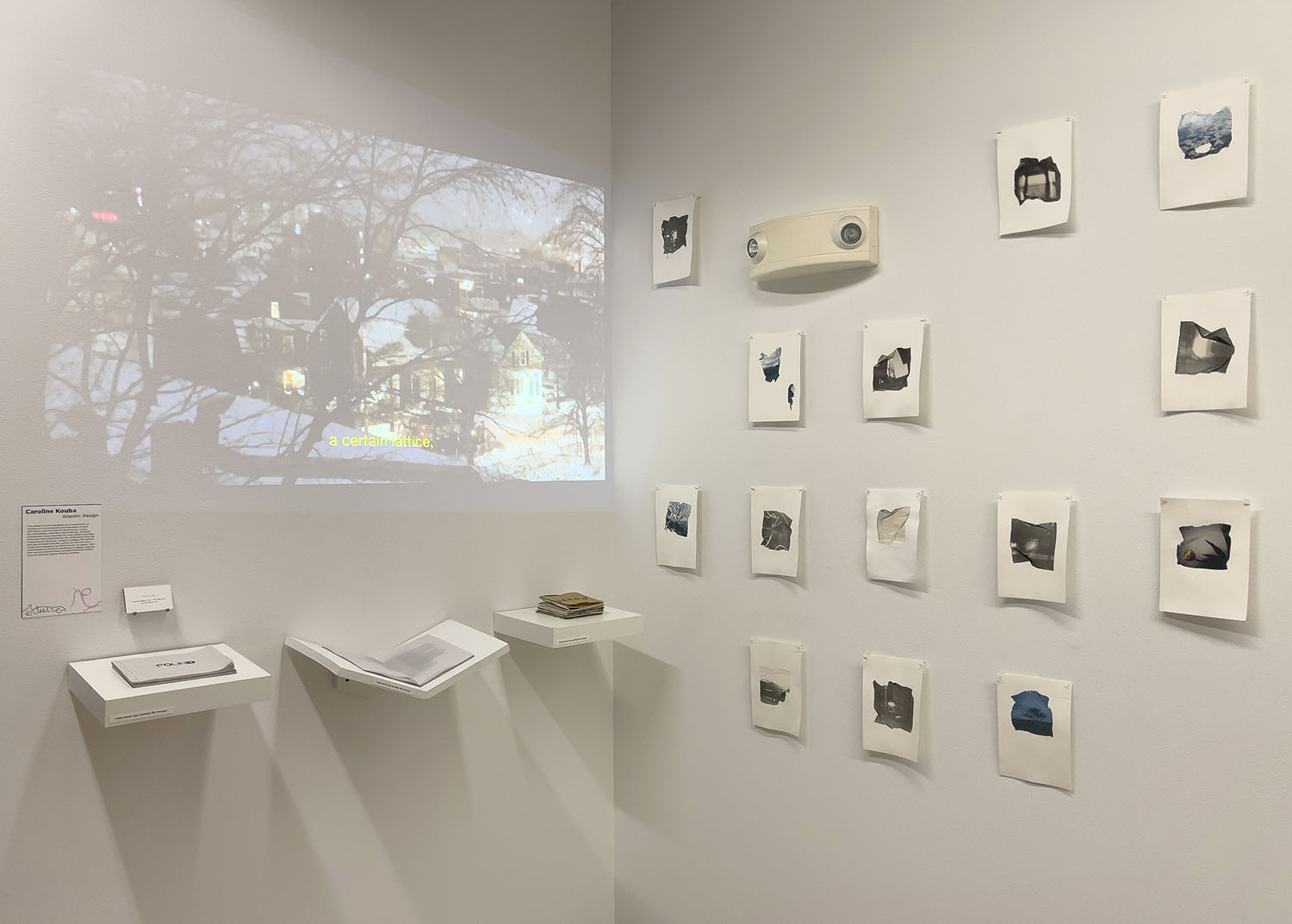 Thesis Exhibition Installation 2022