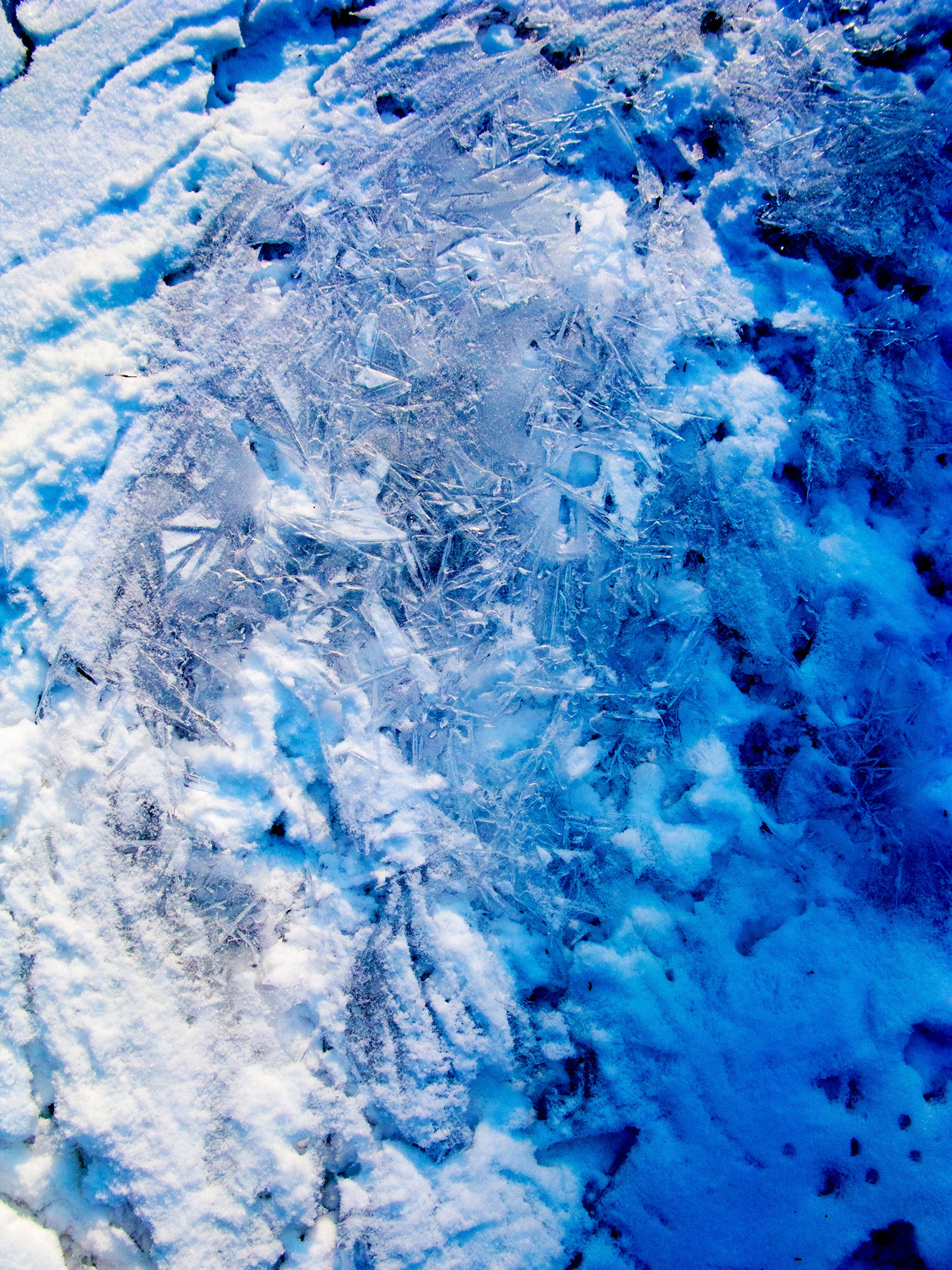  Ice Sprite #2, Archival Pigment Print. Mounted on Sintra. 48" x 36" Limited Edition: 1/5. and Archival Pigment Print, 17 X 22, Edition 1/10, 2015