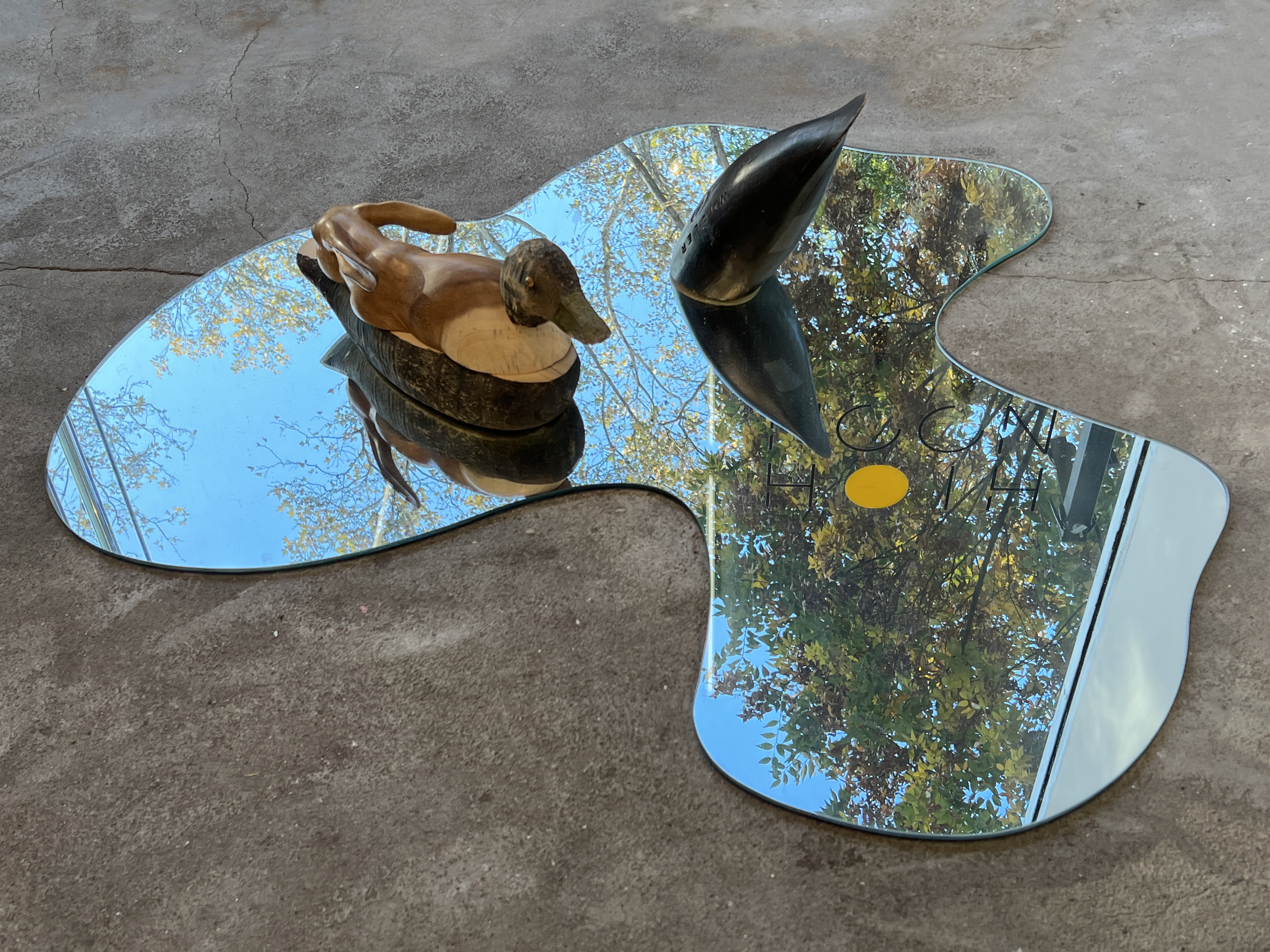 Detail of Wake, sourced antique decoys and mirror dimensions variable