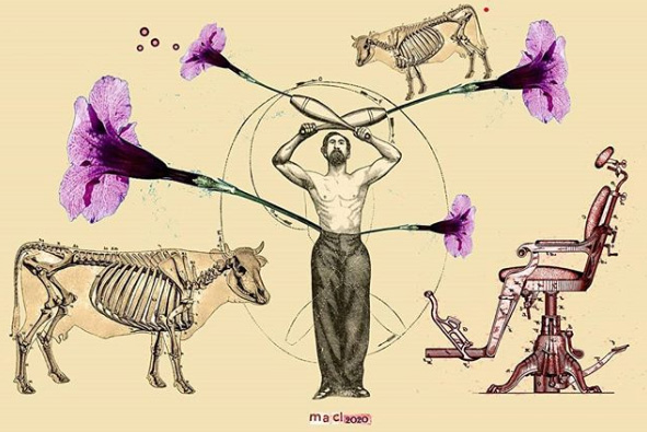 Maria Anna Ciemerych