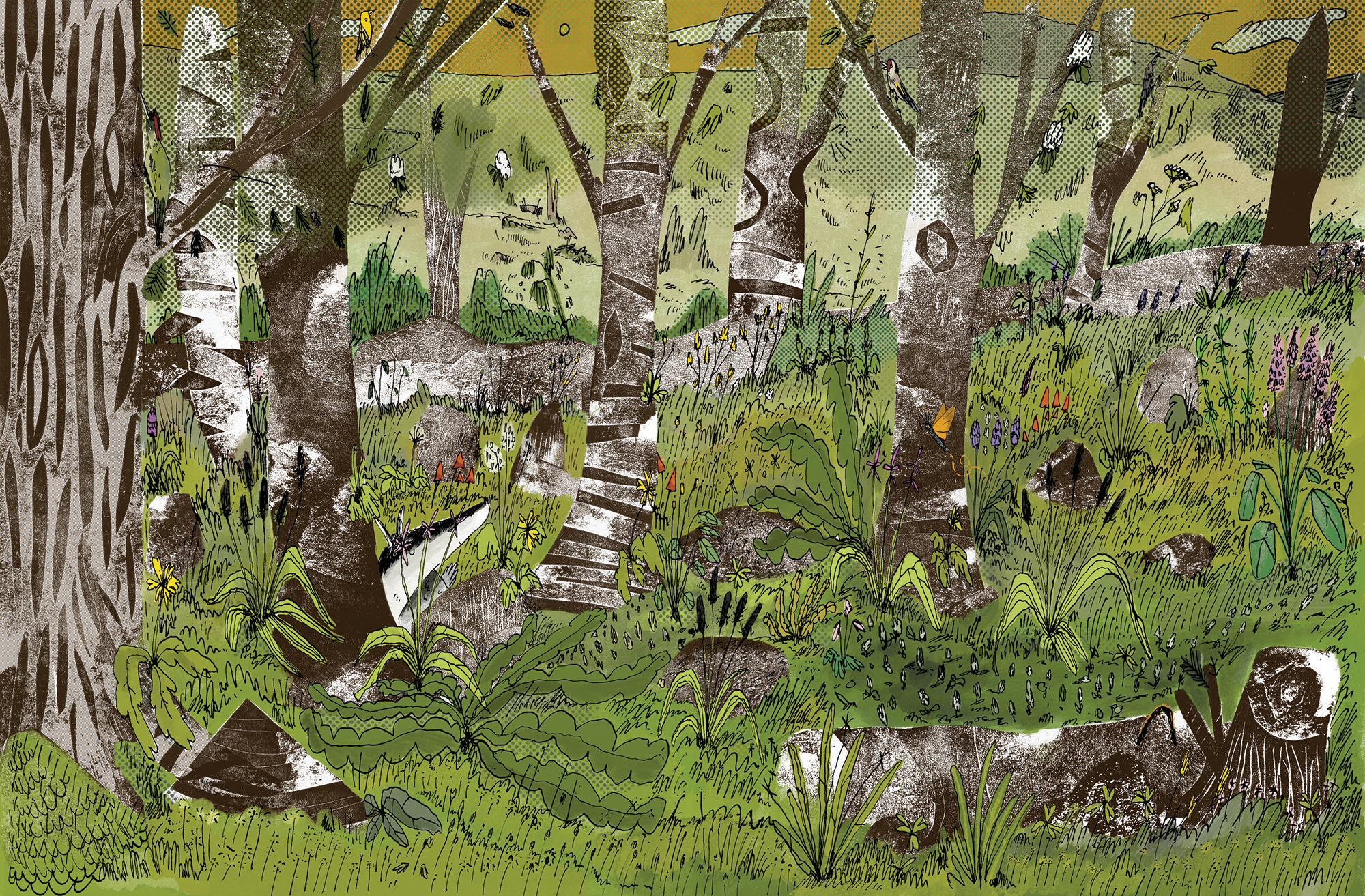 Surfaces & Interiors