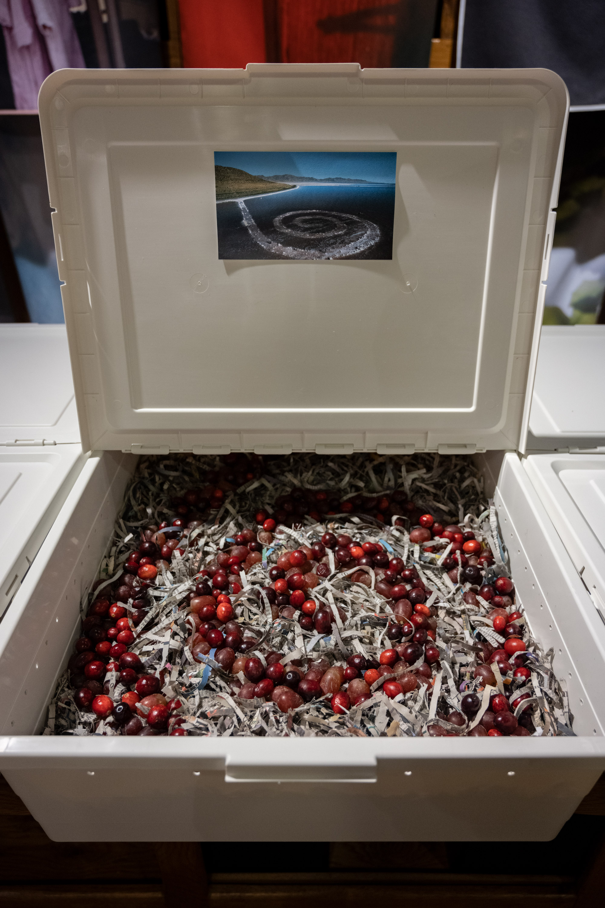 On Compost: Land Art (ongoing), Laurencia Strauss. Newspaper, worms, produce, bins, photographs. 9 compost fields, each: 19 1/2 x 30 x 7 1/2 in (49.5 x 76.2 x 19 cm). Installation view of “The Symbiotic Shore” a group exhibition curated by the Institute of Queer Ecology (2021). Photo by Lee Pivnik. Courtesy of the Institute of Queer Ecology, Bas Fisher Invitational and Bridge Initiative. Half way opened white plastic bin reveals a spiral designed from red food waste on top of gray compost material, an image of Spiral Jetty is presented above it.