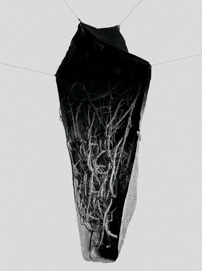 Devorar 2024 - Mecate, yute and paint.