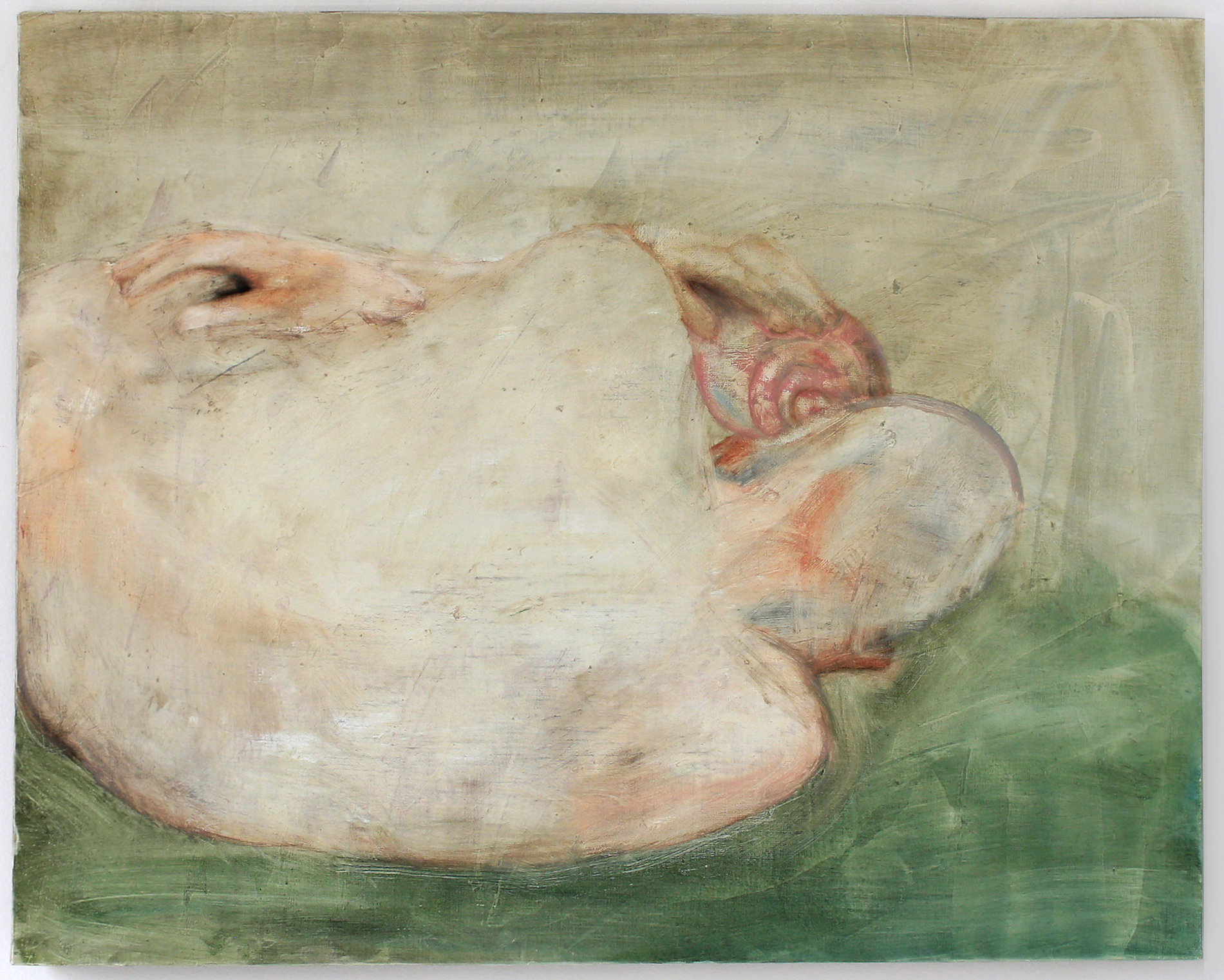 Shell, Oil on Linen, 24 x 30 in