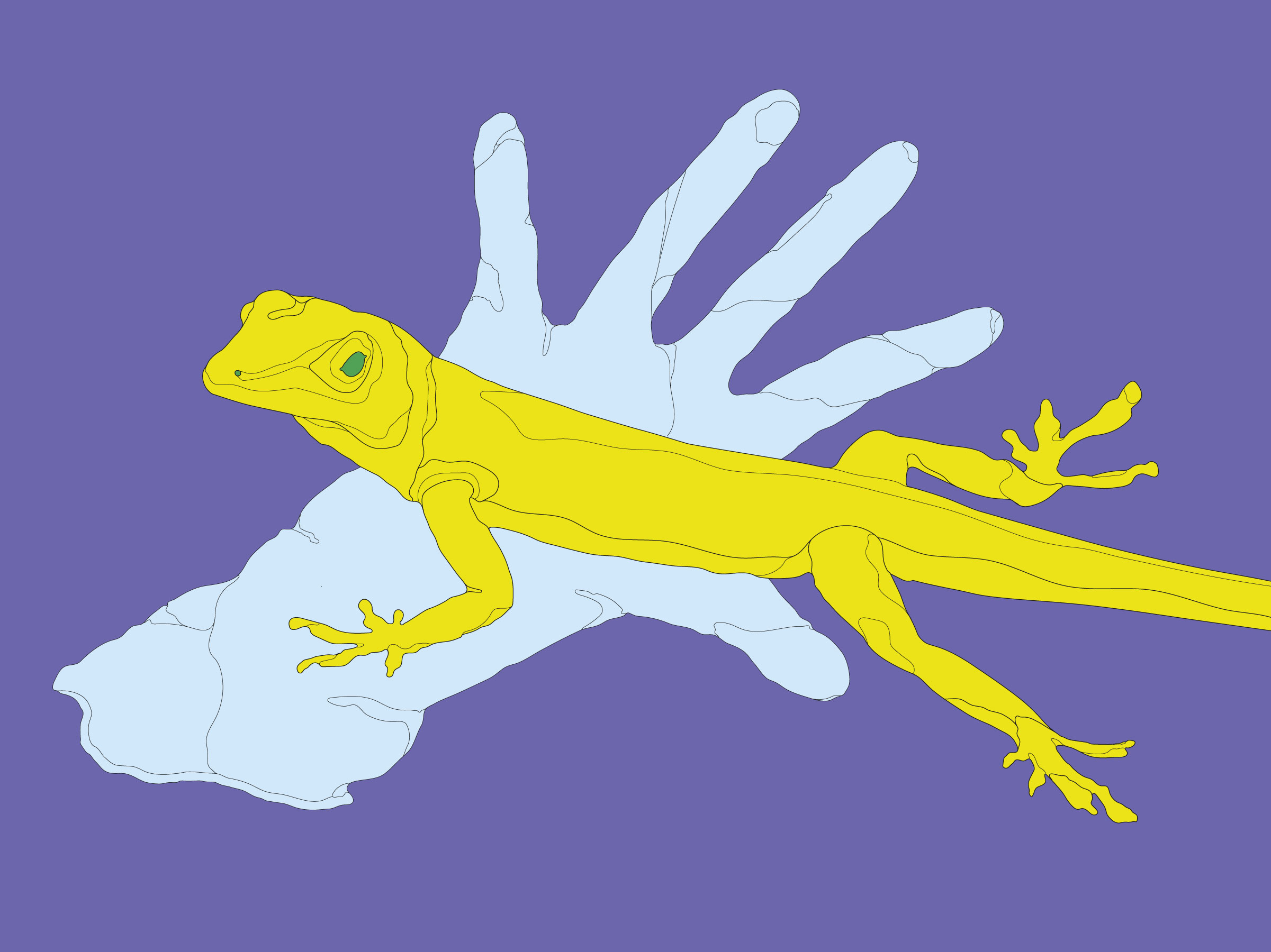 Von Geckos in Laboren | Of geckos in laboratories