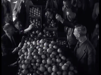 Polygoon's "News from the West," 1947: coconut and citrus industries