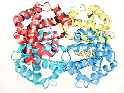  Hemoglobin. Acrylic. 2005.