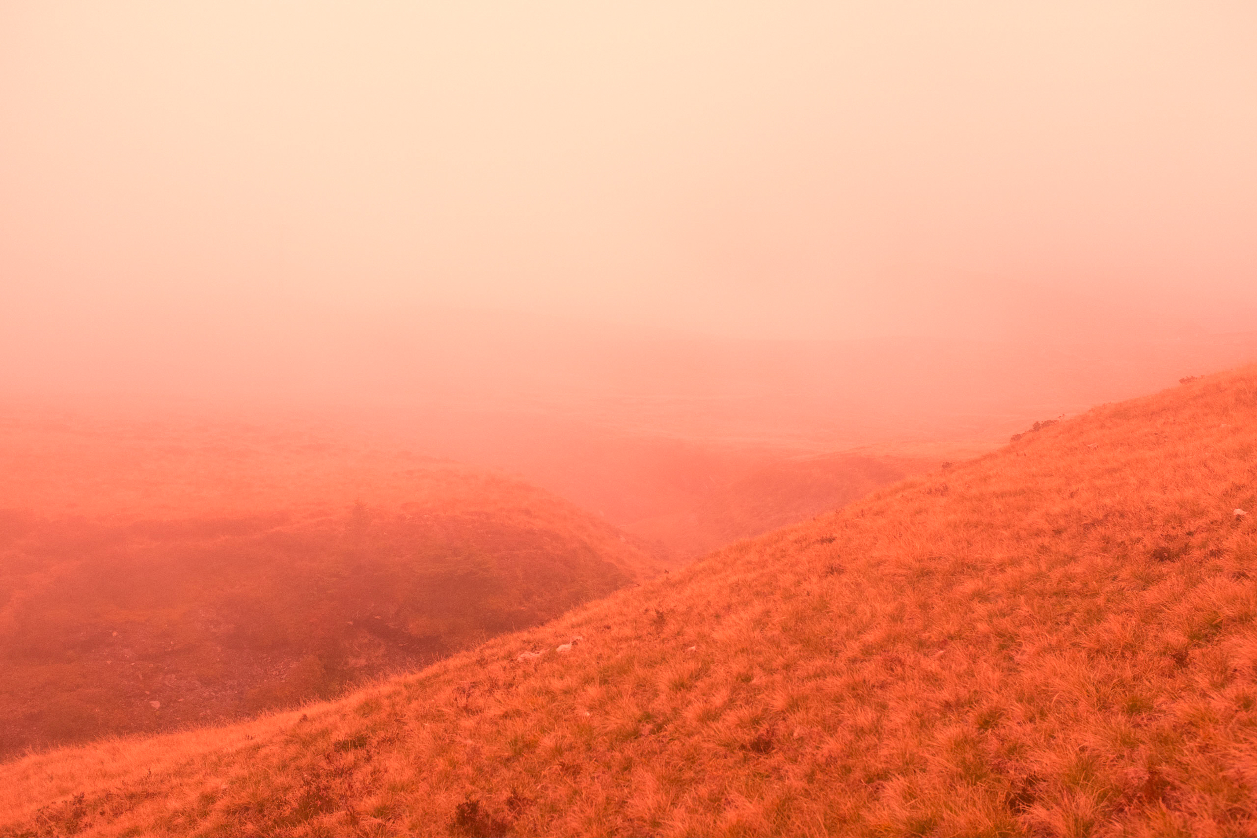 On a trip  Swiss Alps 2018
