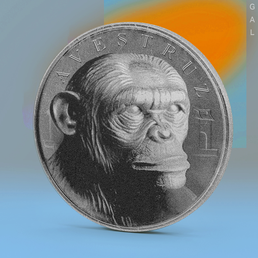 rocío gal ––––––– cover design