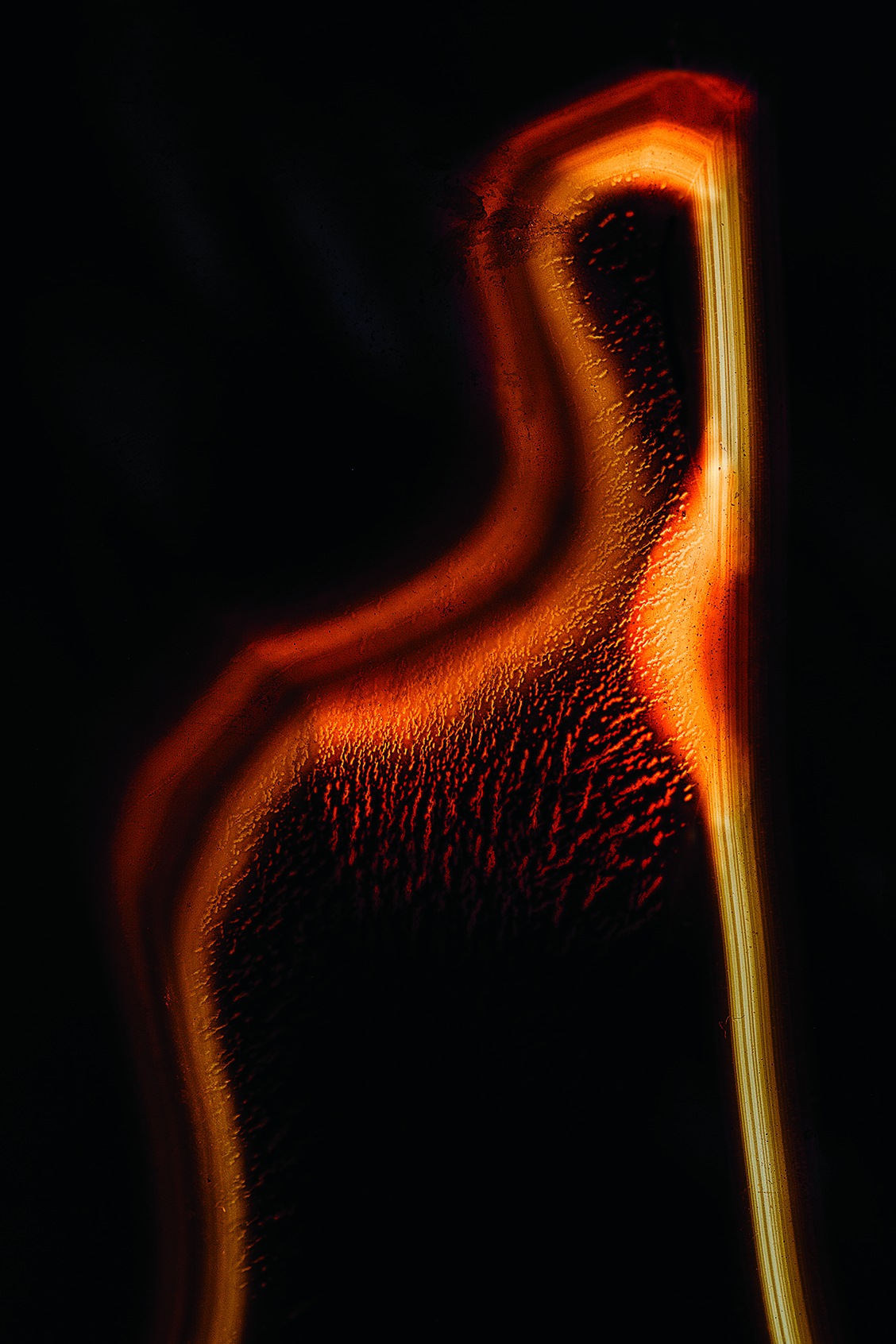 PHOTOGRAPHY RAF STUDIO OF MUTATIONS EXHIBITION AT MAD PARIS