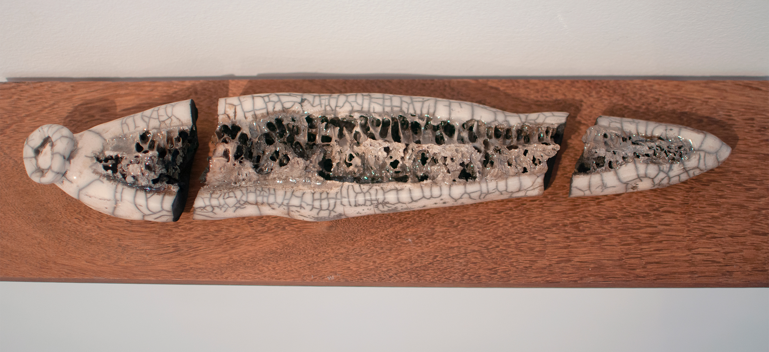 Larvae. low-temperature ceramics.  Wood cabinets by Gustavo Cadena Ruiz. Dripped Luffa in slip and hand building.  Bogot&aacute; 2017