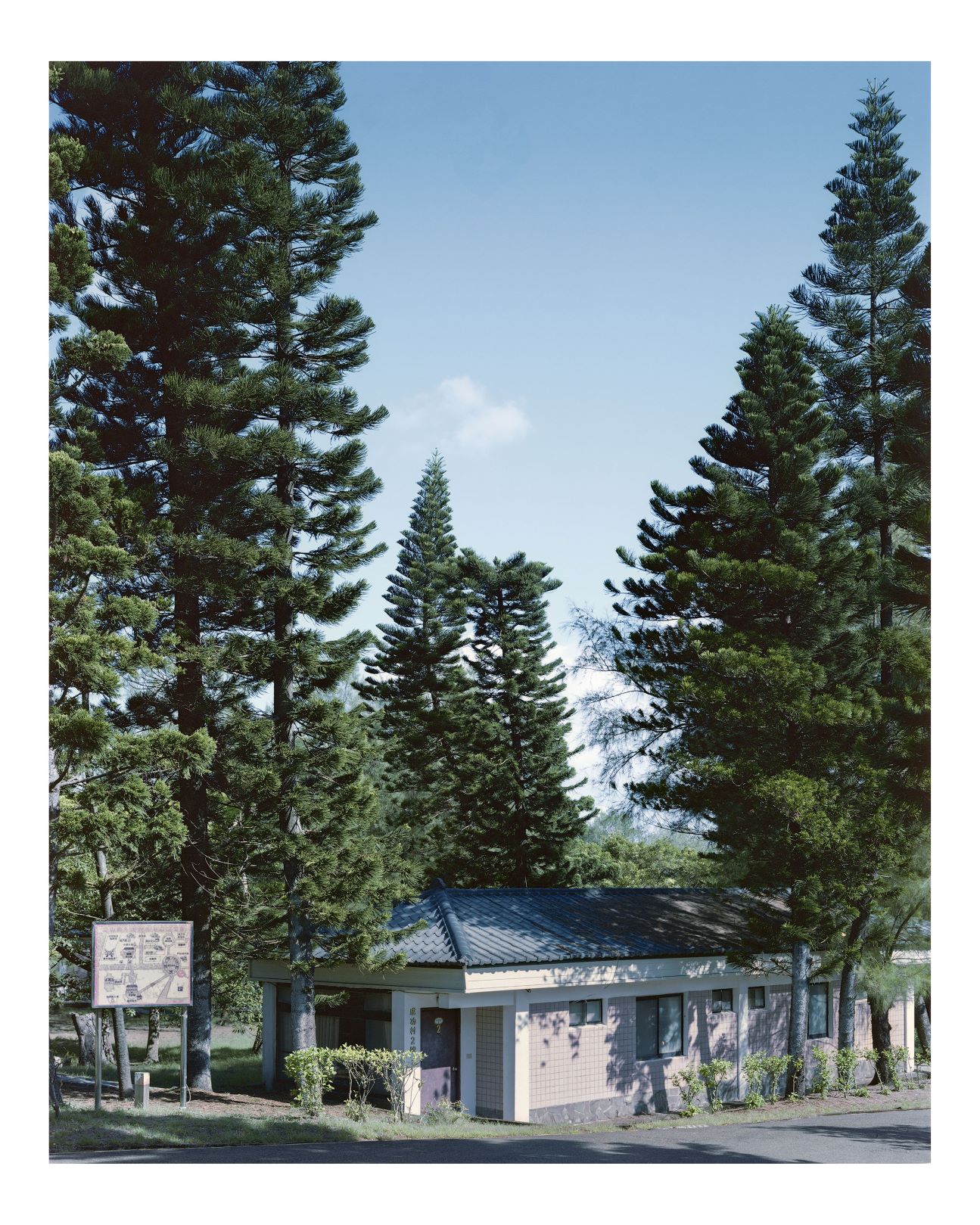 Colonial Pine KUO Che-Hsi