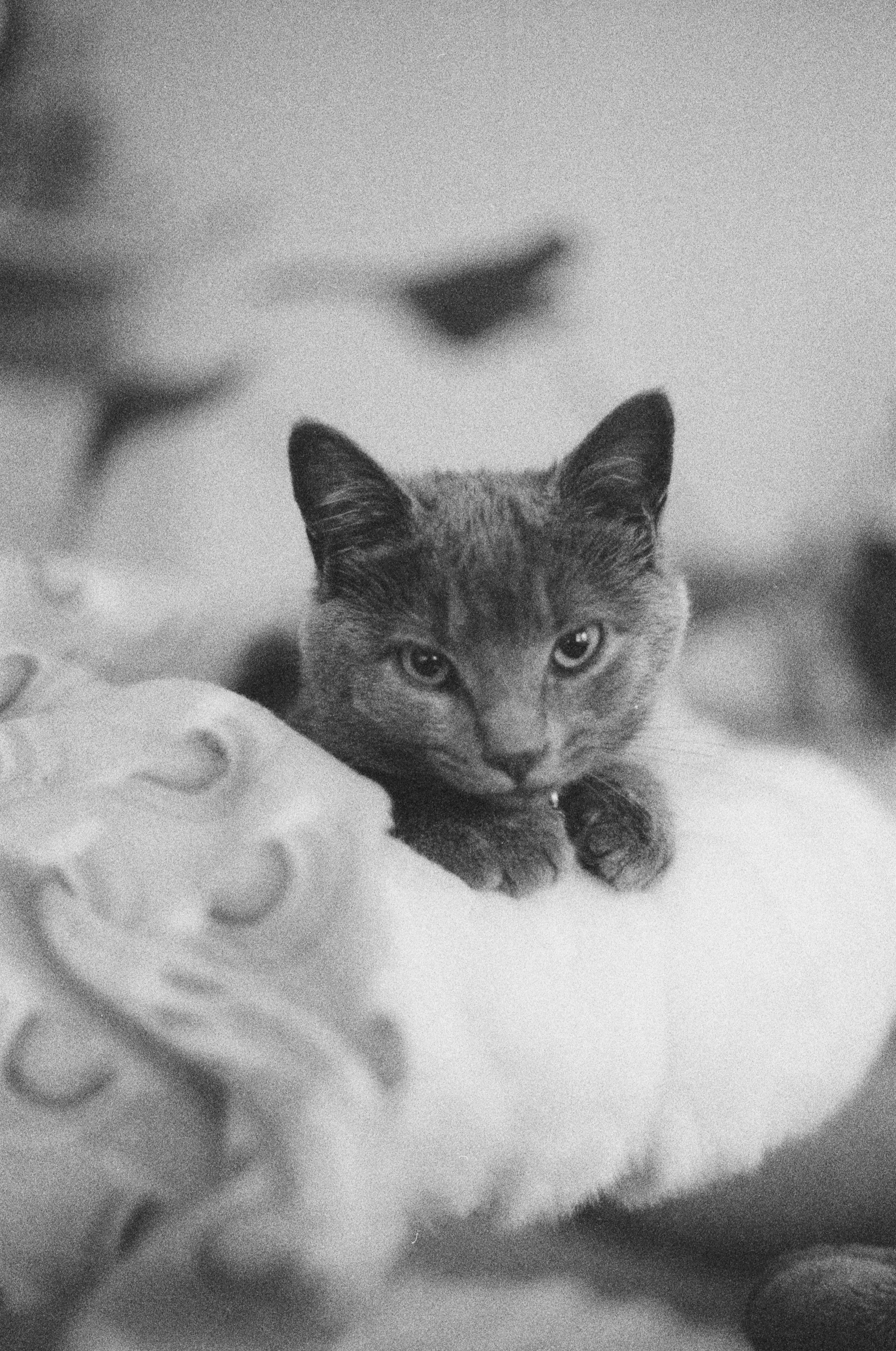 Brooklyn, New York, 2021, Canon ae-1 35mm