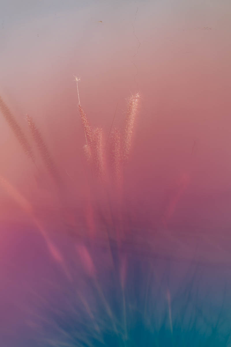 Untitled (LA), 2021, Archival Inkjet Print, Dimensions Variable