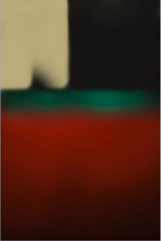 © Charles-Joseph DE LIGNEUntitled 2020
