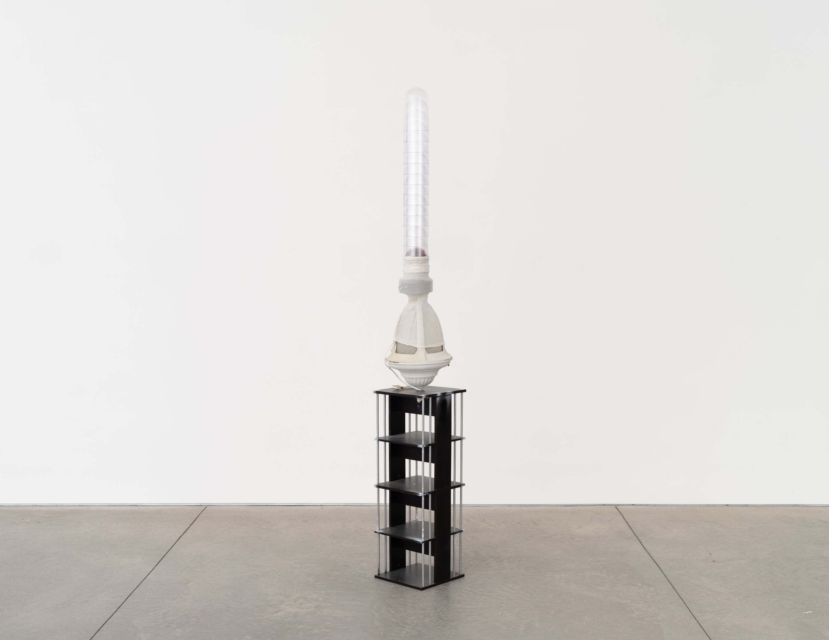 Horizon, 2024, Street lamp, rubber coated webbing, plastic grapes, PVC, elasticated stockinette, shelving unit. 222.3 × 30.5 x 30.5 cm