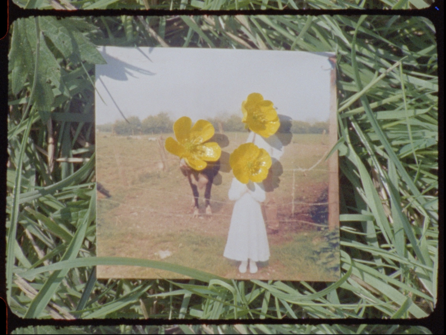 Sarah Browne, Buttercup, work-in-progress 16mm film scan