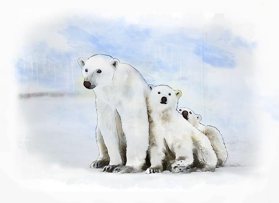 Illustrated Portrait of Polar Bear Stock Photo by ©ant_art 89987444