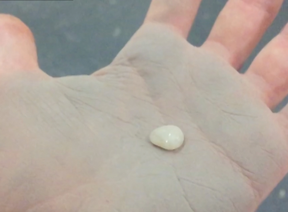 Blob Circulating (Saliva on Silicone Ash), 2015 [still]Single-channel video projection, color, silent14 min. 24 sec.