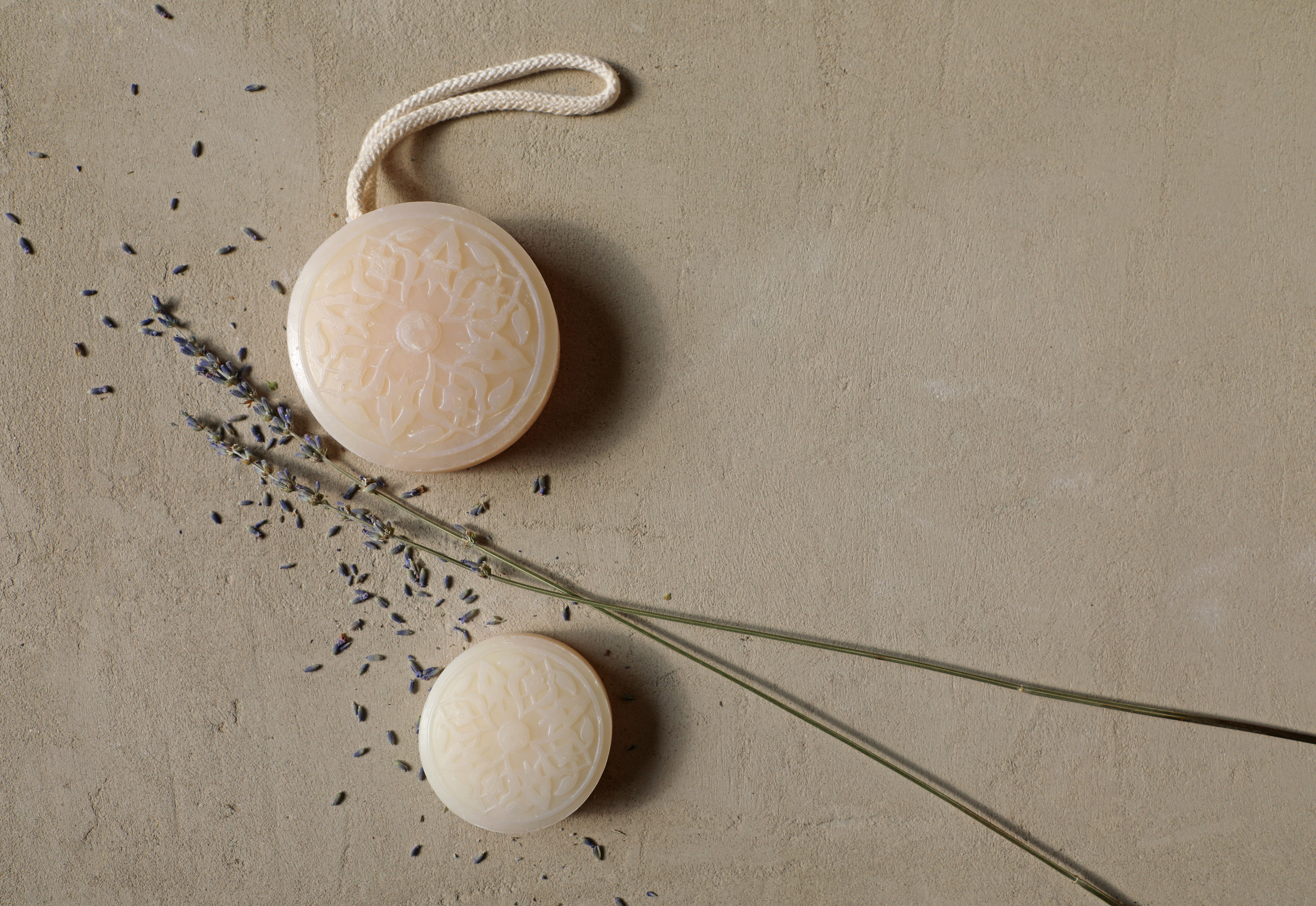 Senteurs d'Orient, 2019