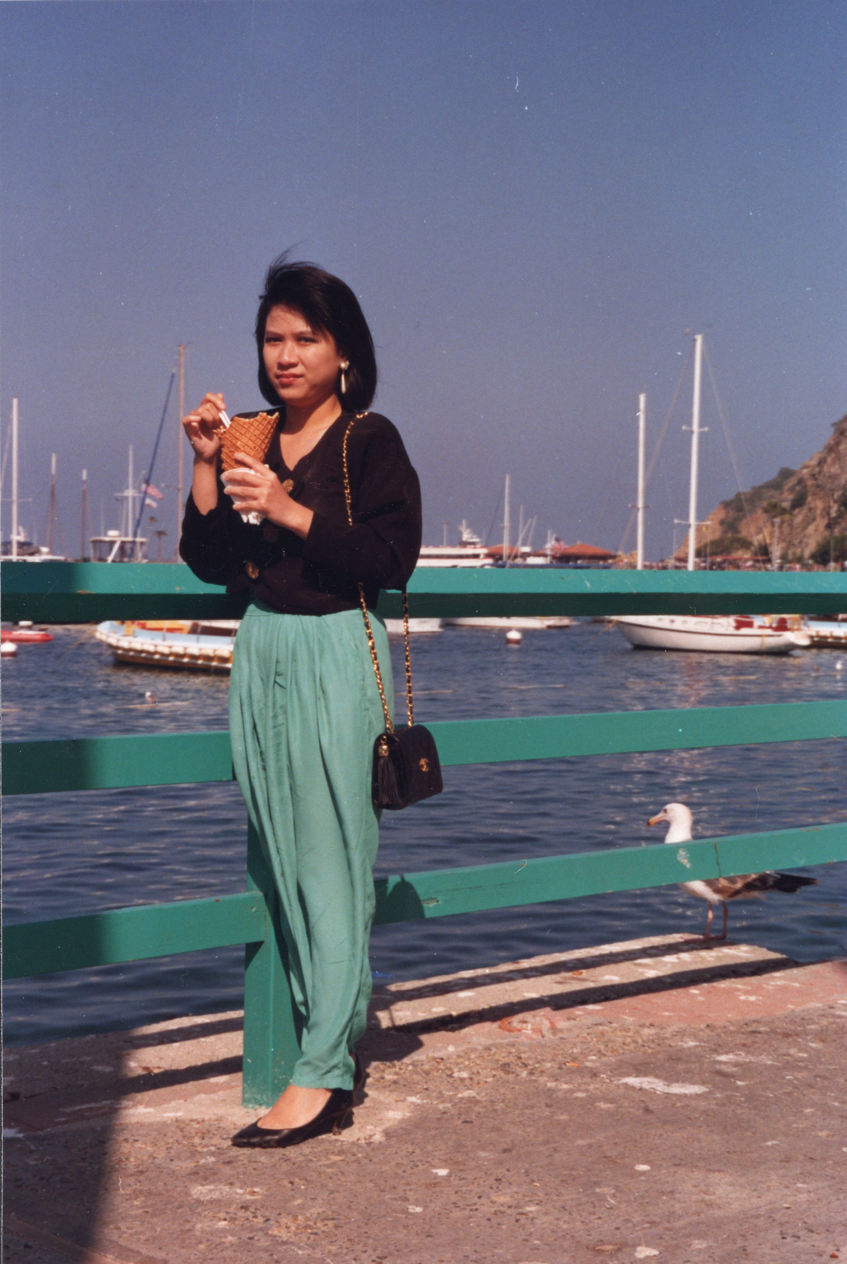 01134 Palos Verdes, CA 1990