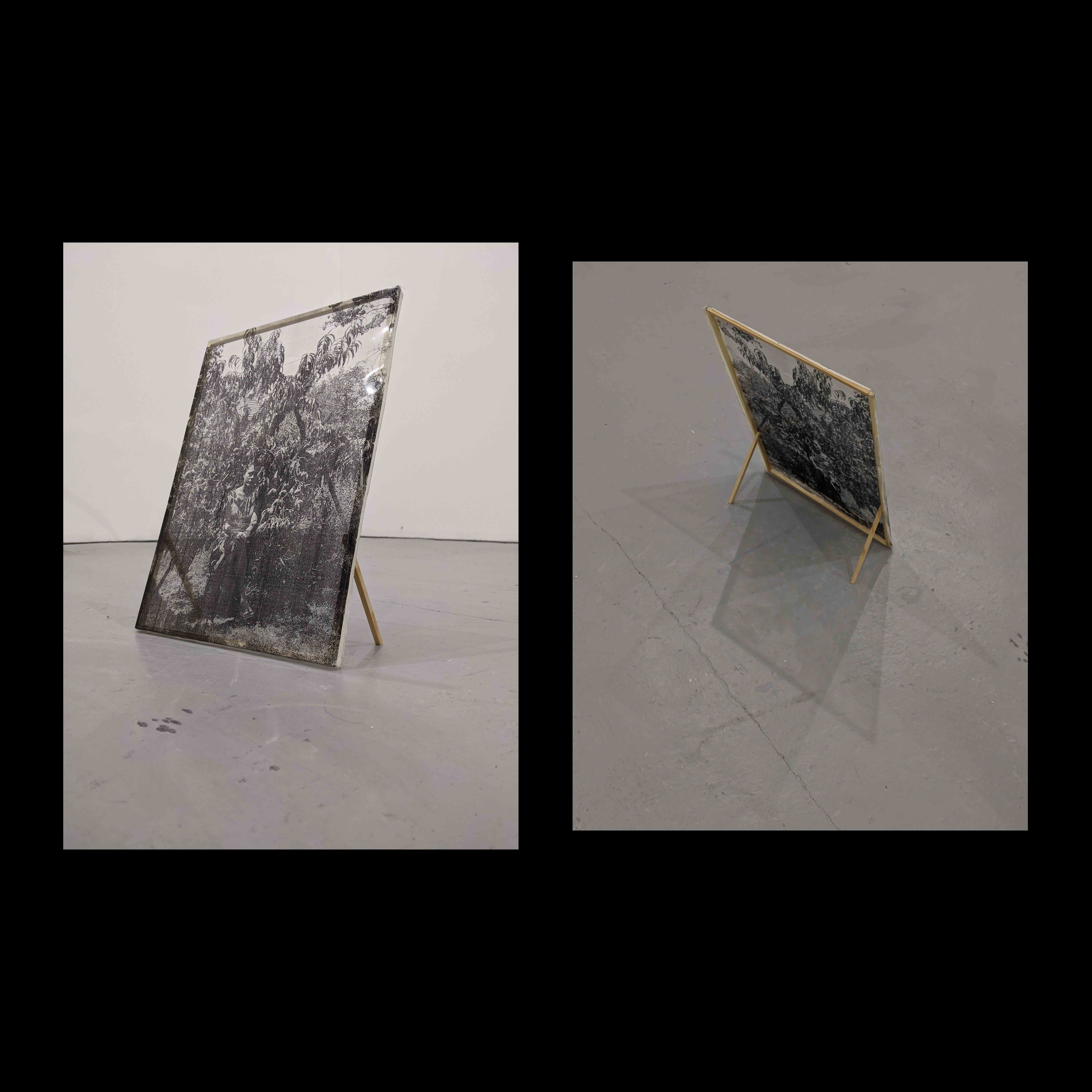 Tsvetelina, 2021. Acetate, timber, double sided tape