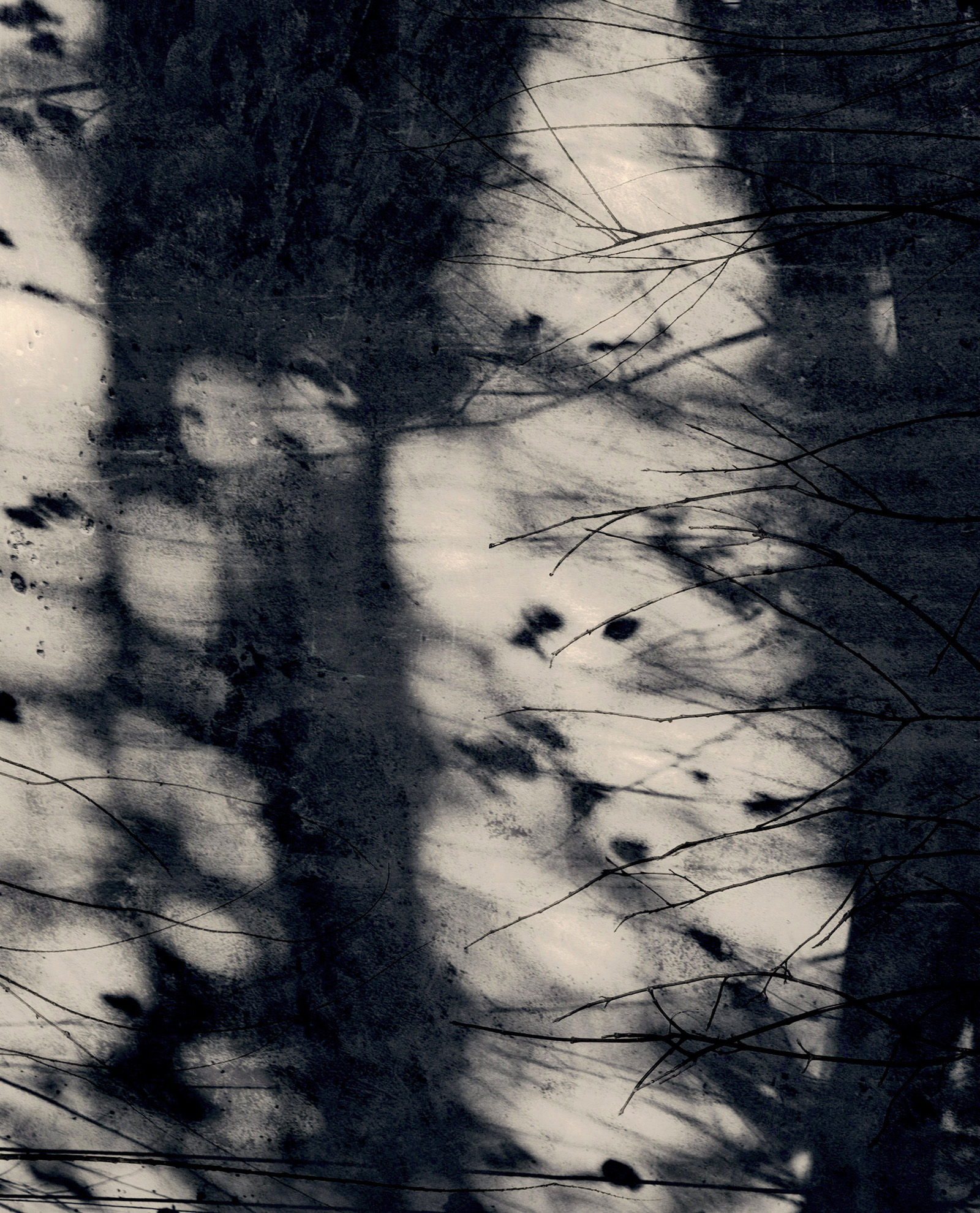 © Jocelyne ALLOUCHERIEOmbrebasse 2021