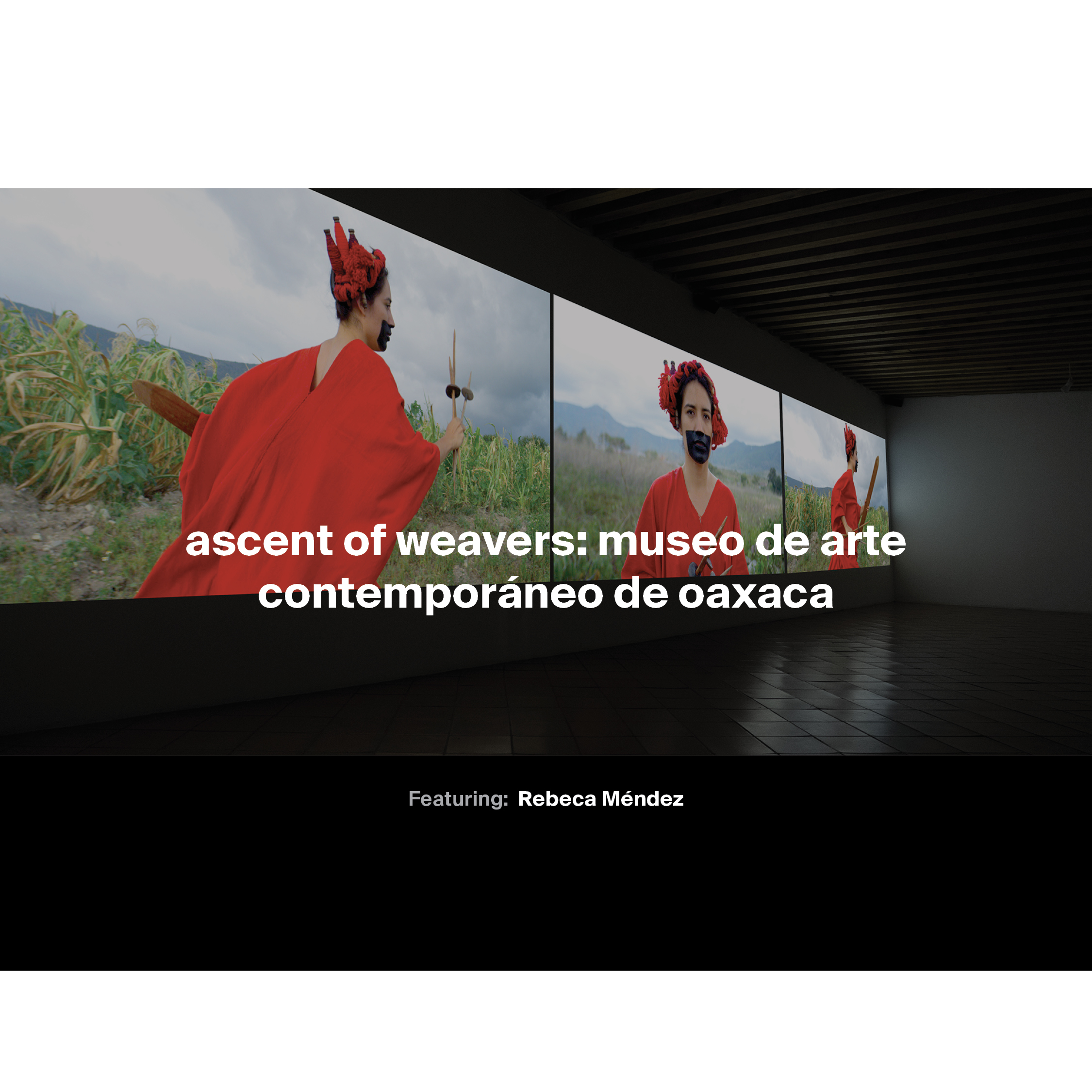 museum of contemporary art, oaxaca.  nov 30, 2018 – may 17, 2019