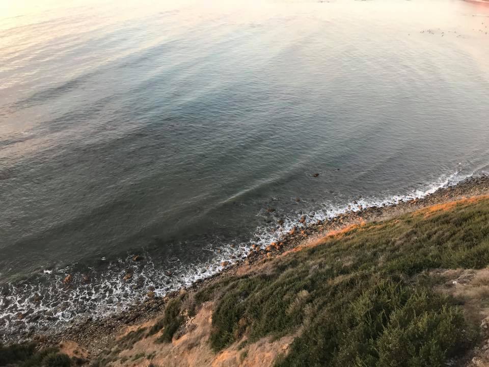 Palos Verdes, California, U.S.A. (2017)