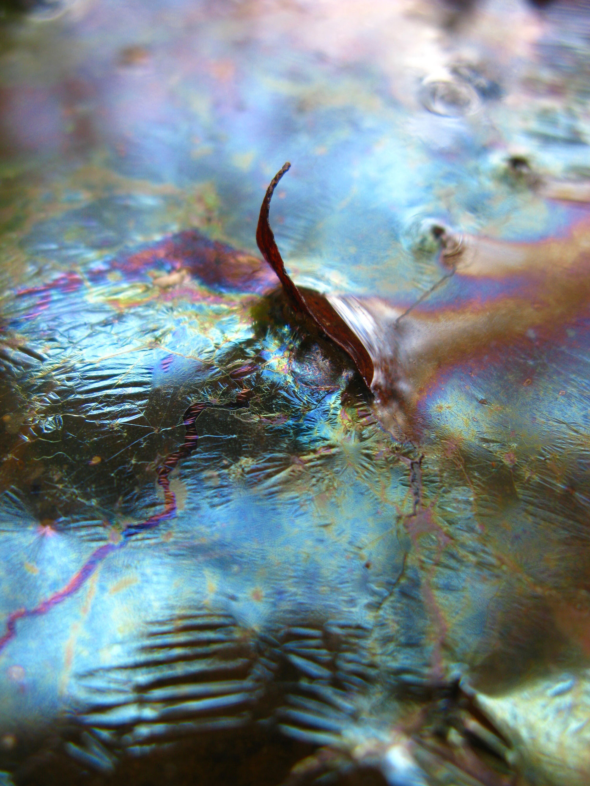 Presence, Archival Pigment Print. Mounted on Sintra. 48" x 36" Limited Edition: 1/5. And  Archival Pigment Print, 17 X 22, Edition 1/10, 2015